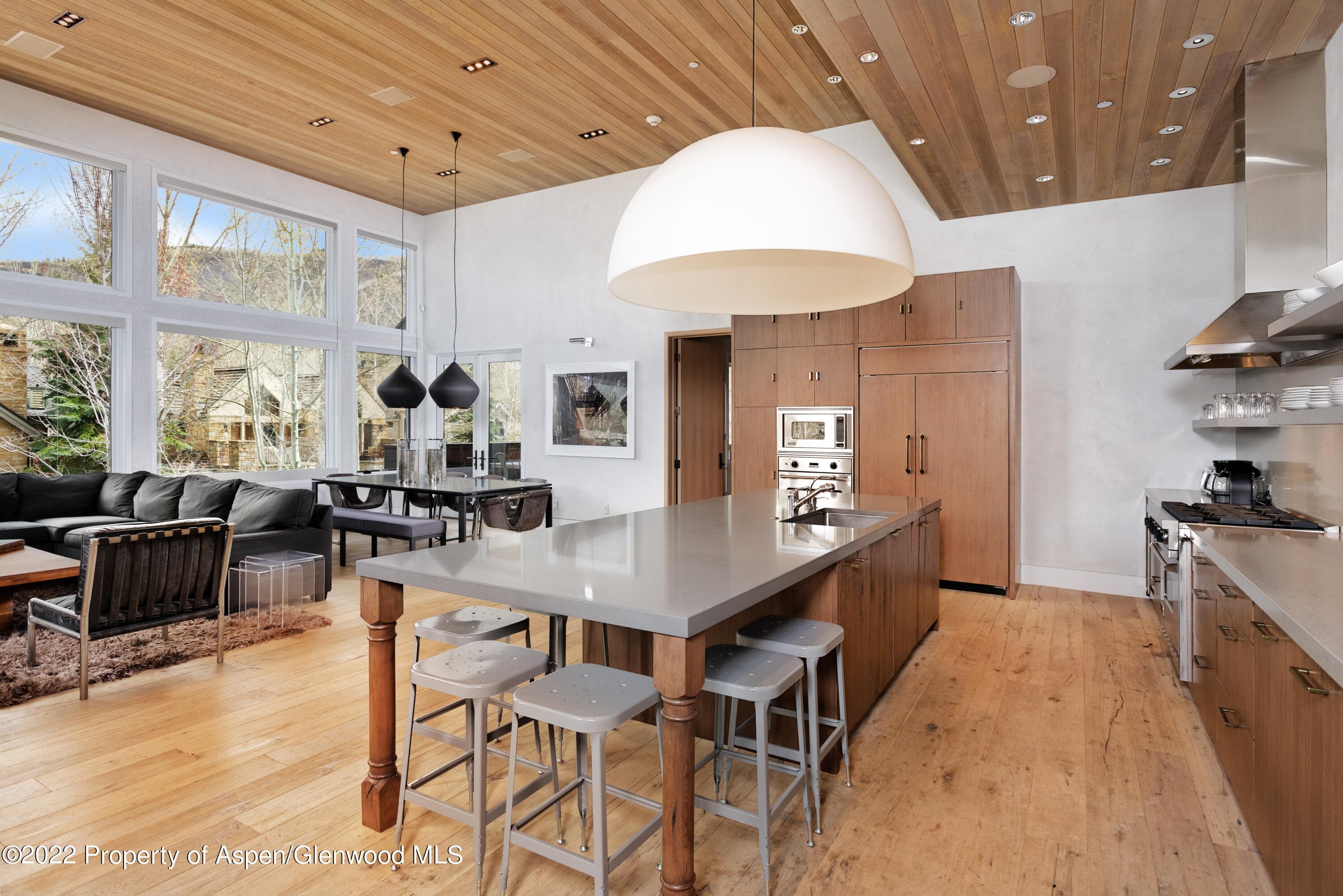 410 S West End Street 101, Aspen, CO 81611 - Photo 7