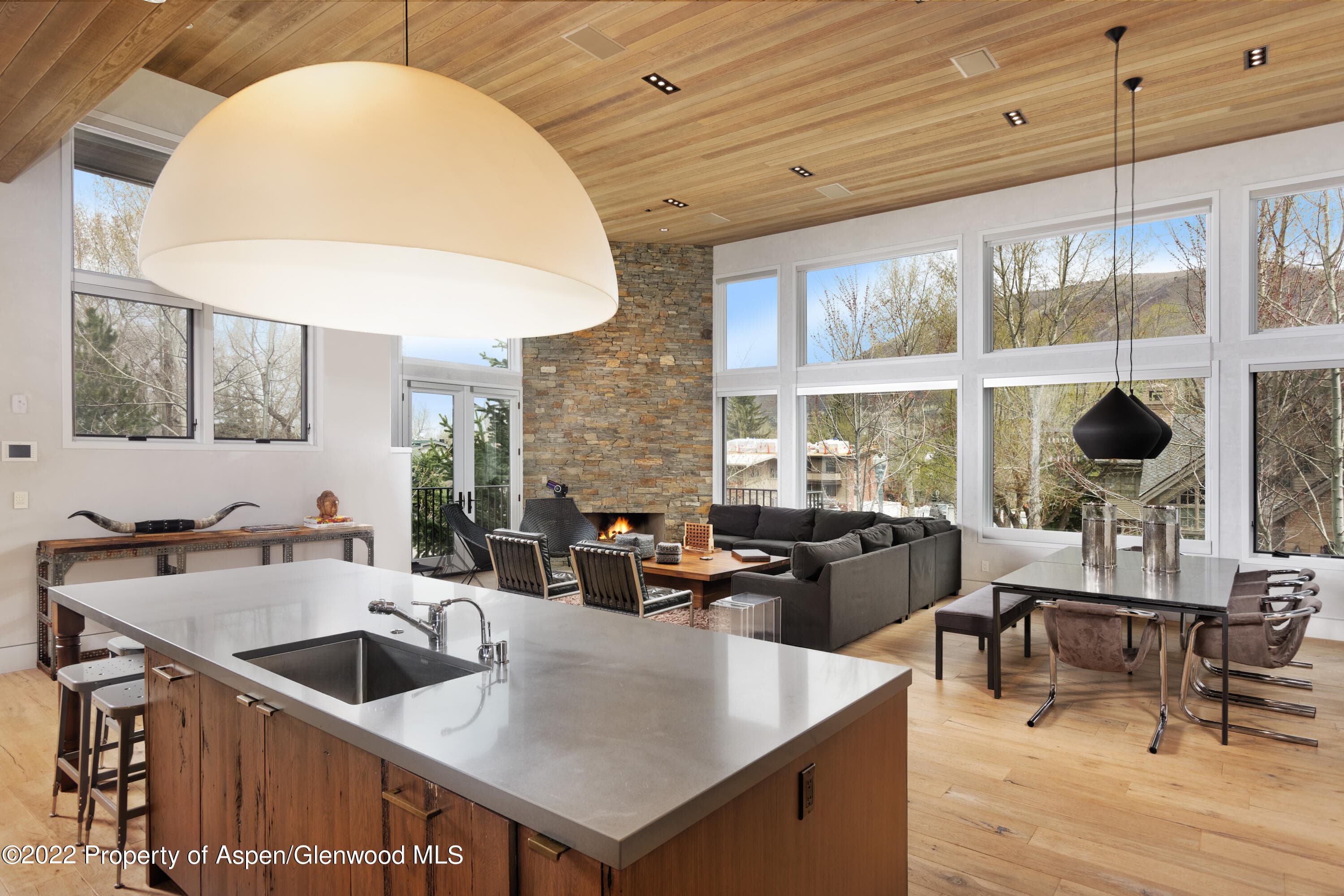 410 S West End Street 101, Aspen, CO 81611 - Photo 8