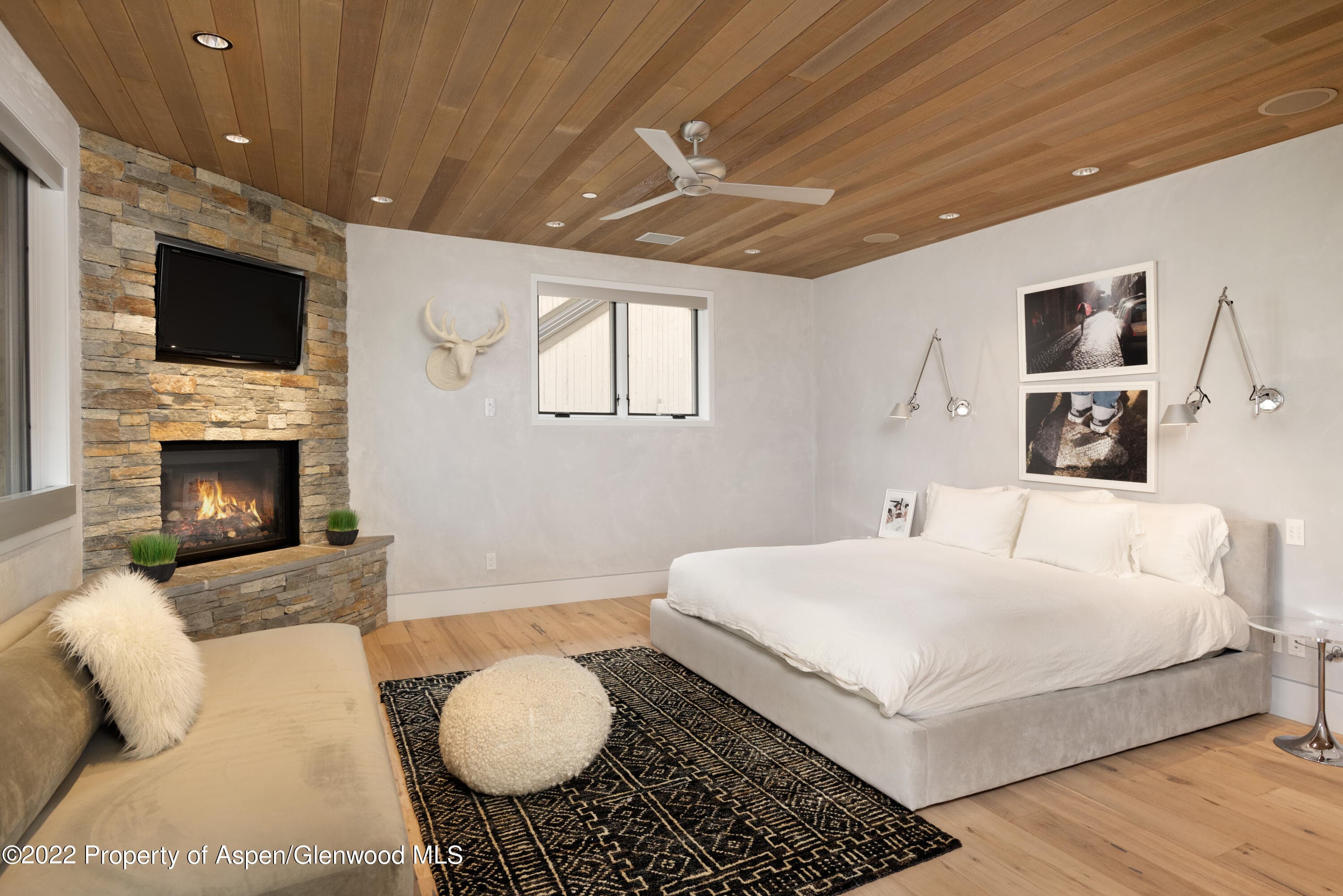 410 S West End Street 101, Aspen, CO 81611 - Photo 9