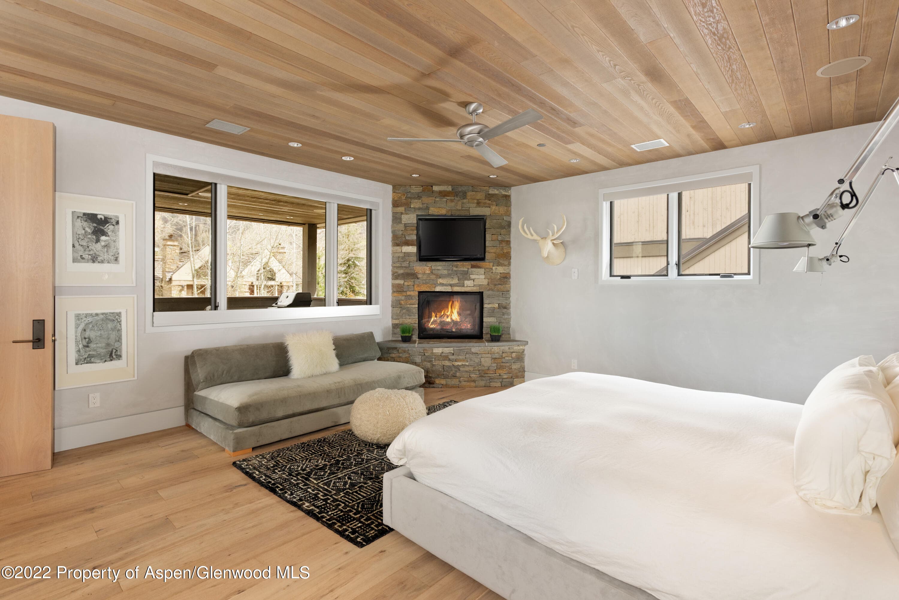 410 S West End Street 101, Aspen, CO 81611 - Photo 10