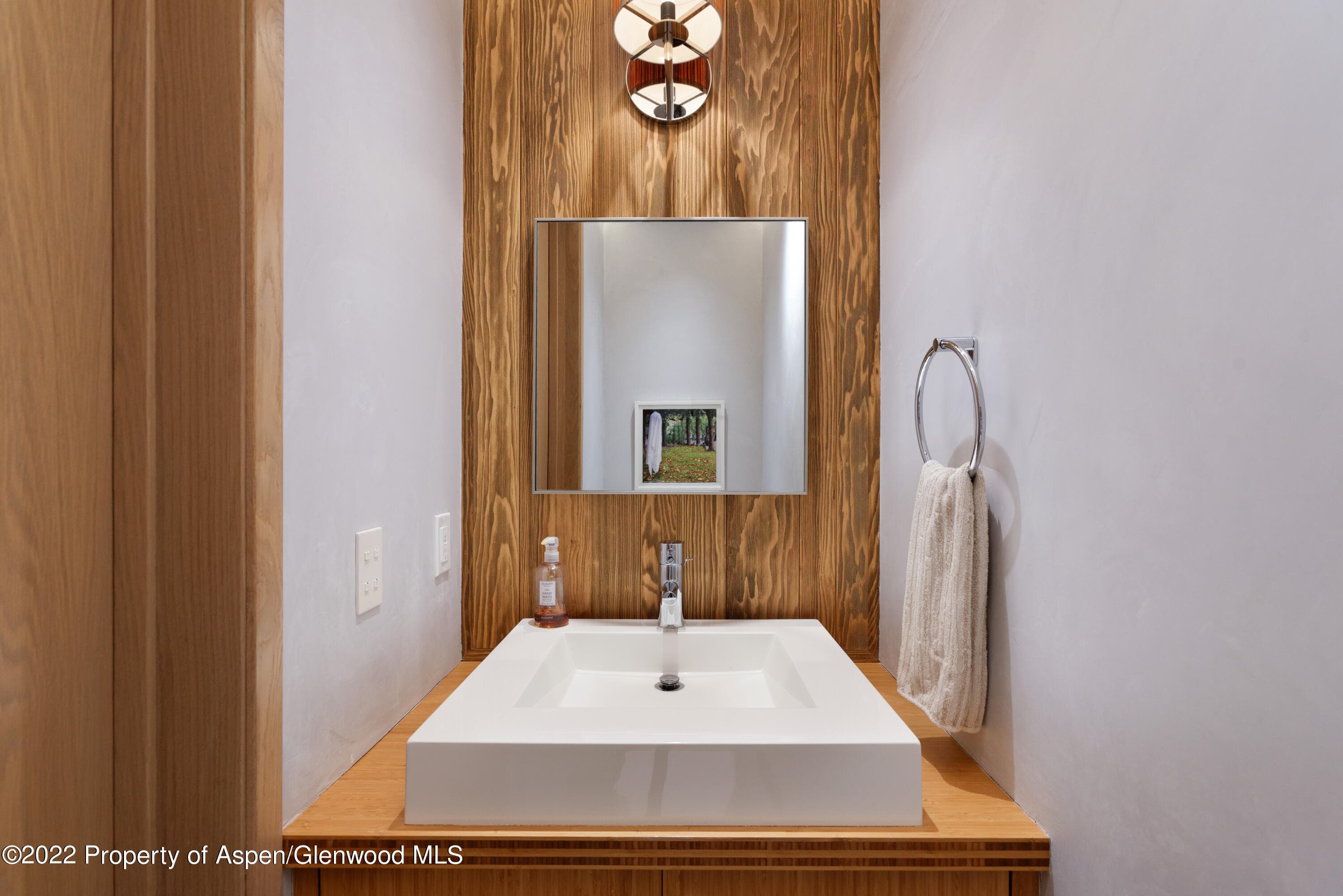 410 S West End Street 101, Aspen, CO 81611 - Photo 14
