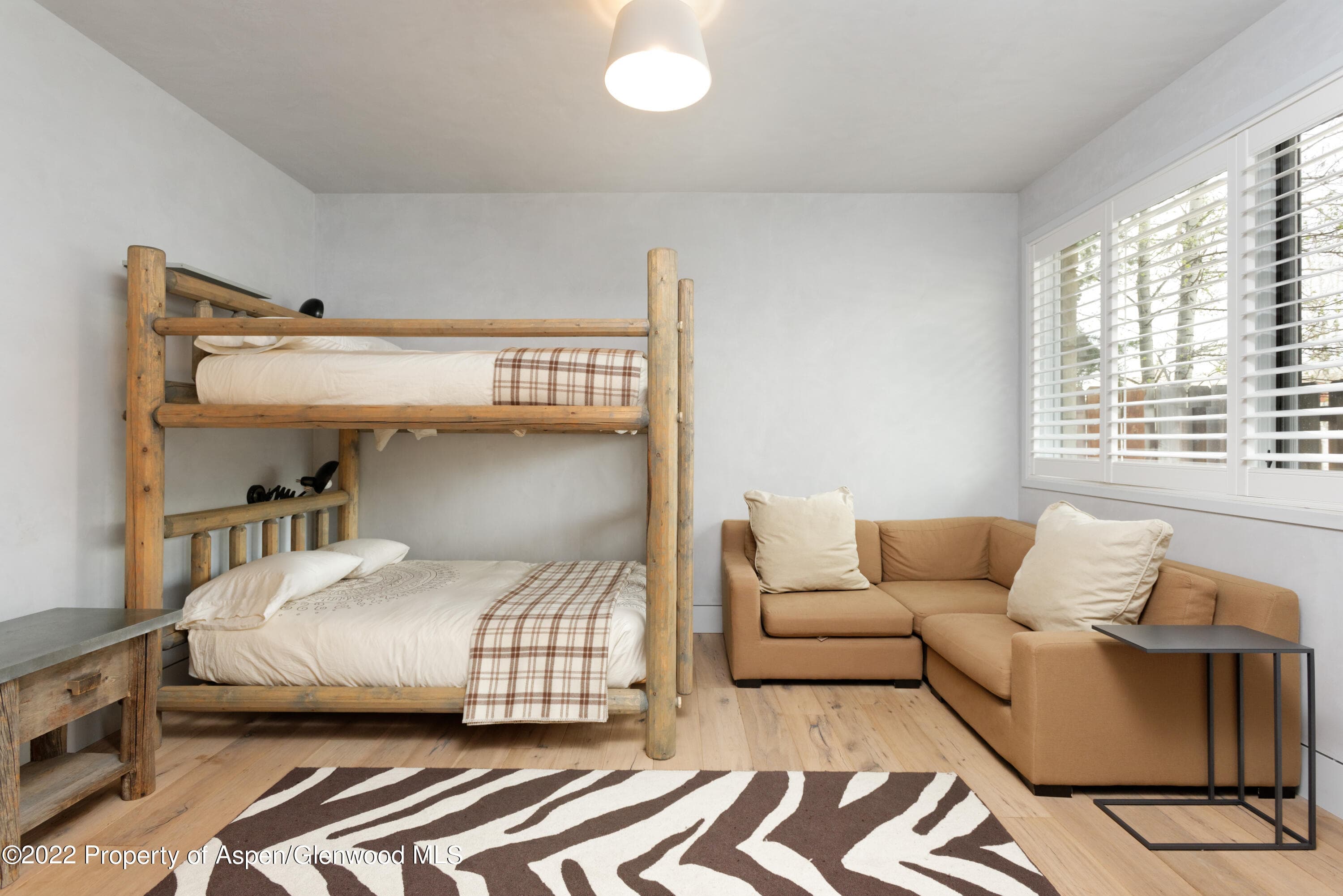 410 S West End Street 101, Aspen, CO 81611 - Photo 15