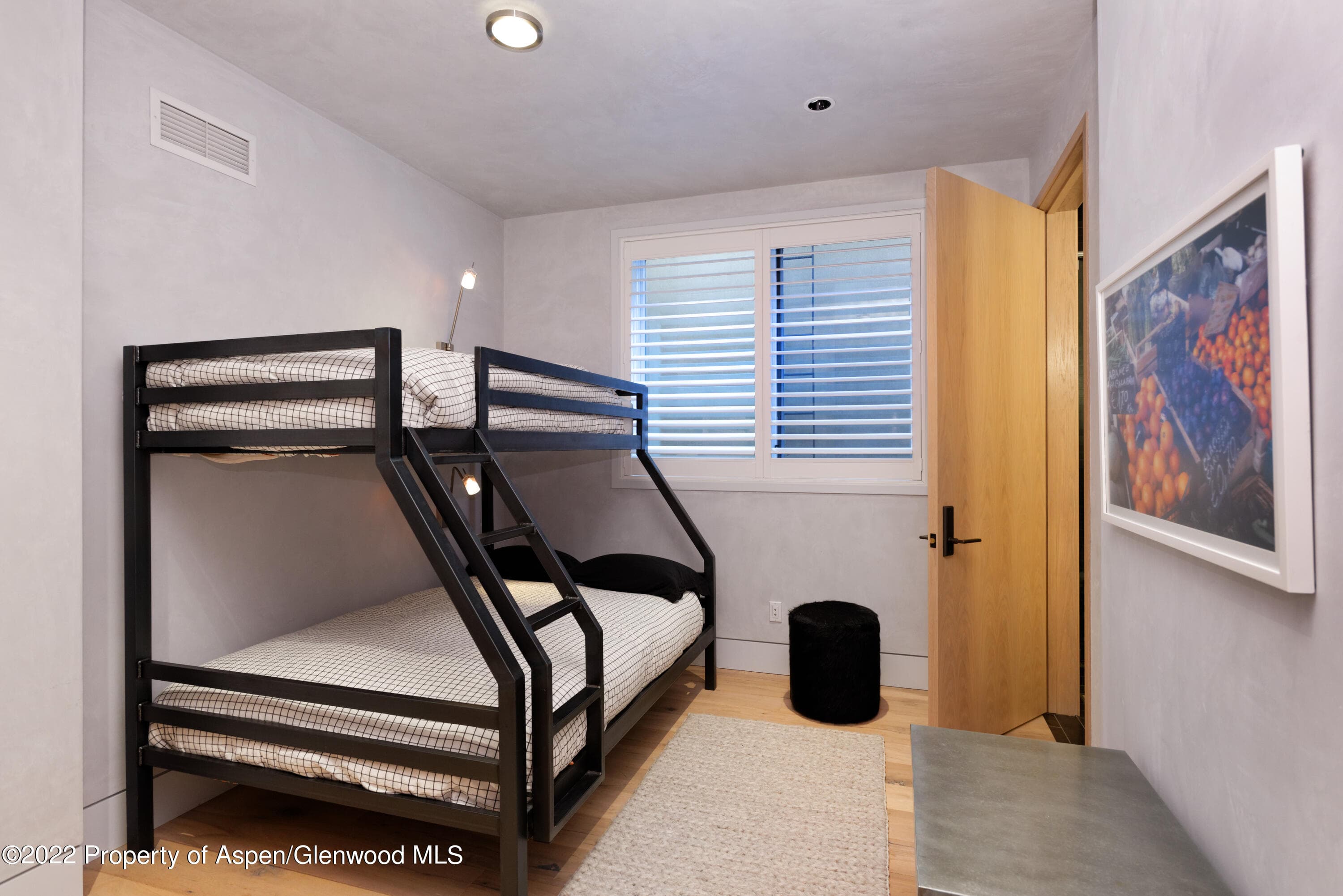 410 S West End Street 101, Aspen, CO 81611 - Photo 17