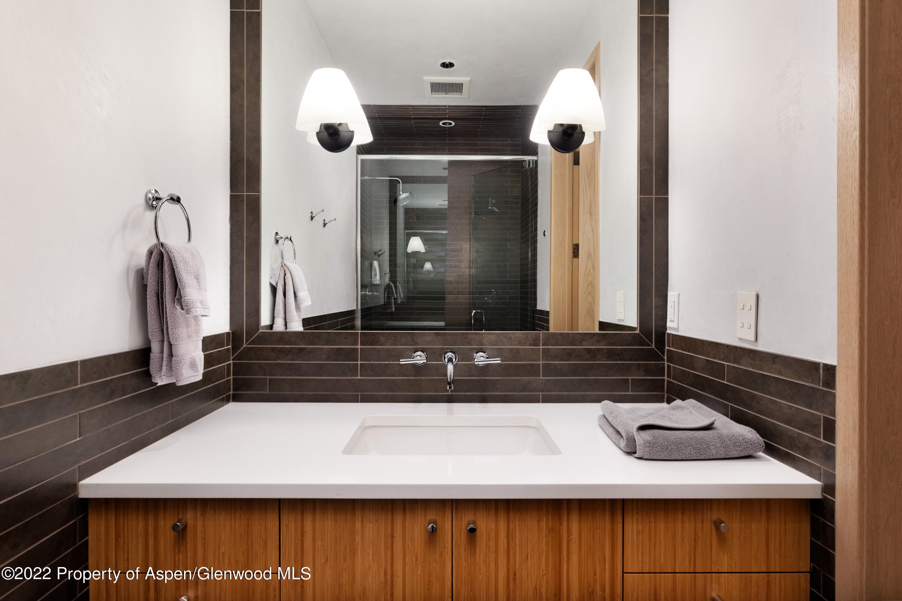 410 S West End Street 101, Aspen, CO 81611 - Photo 18