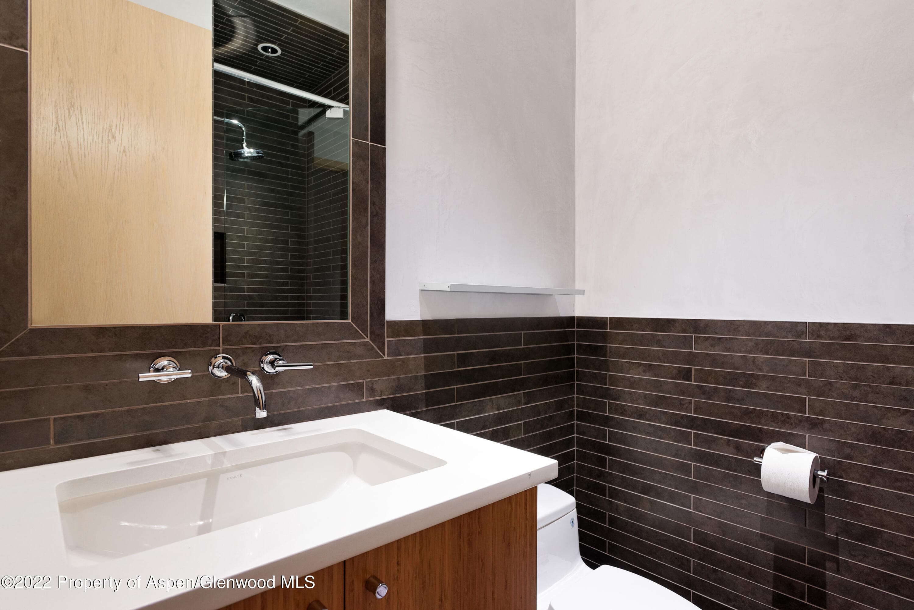 410 S West End Street 101, Aspen, CO 81611 - Photo 20
