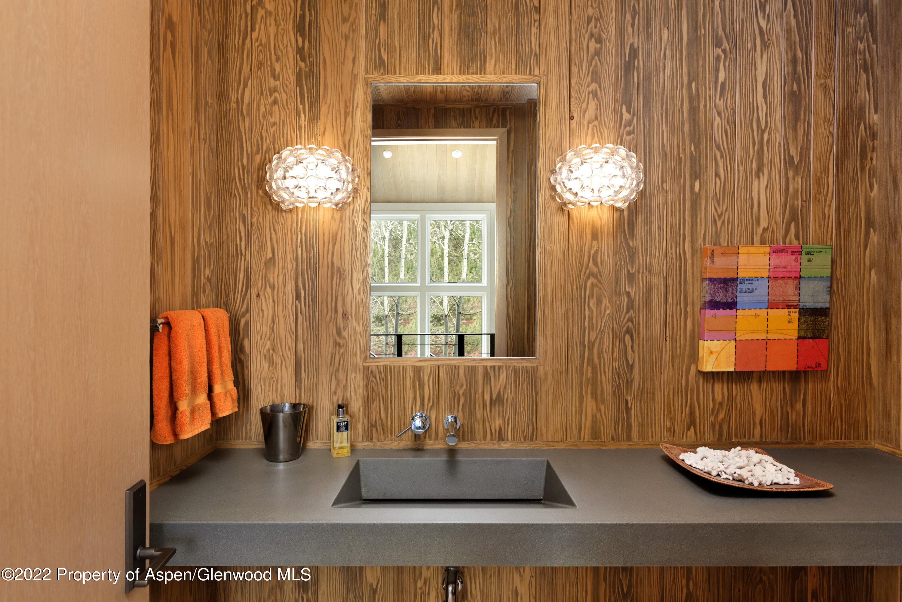 410 S West End Street 101, Aspen, CO 81611 - Photo 23