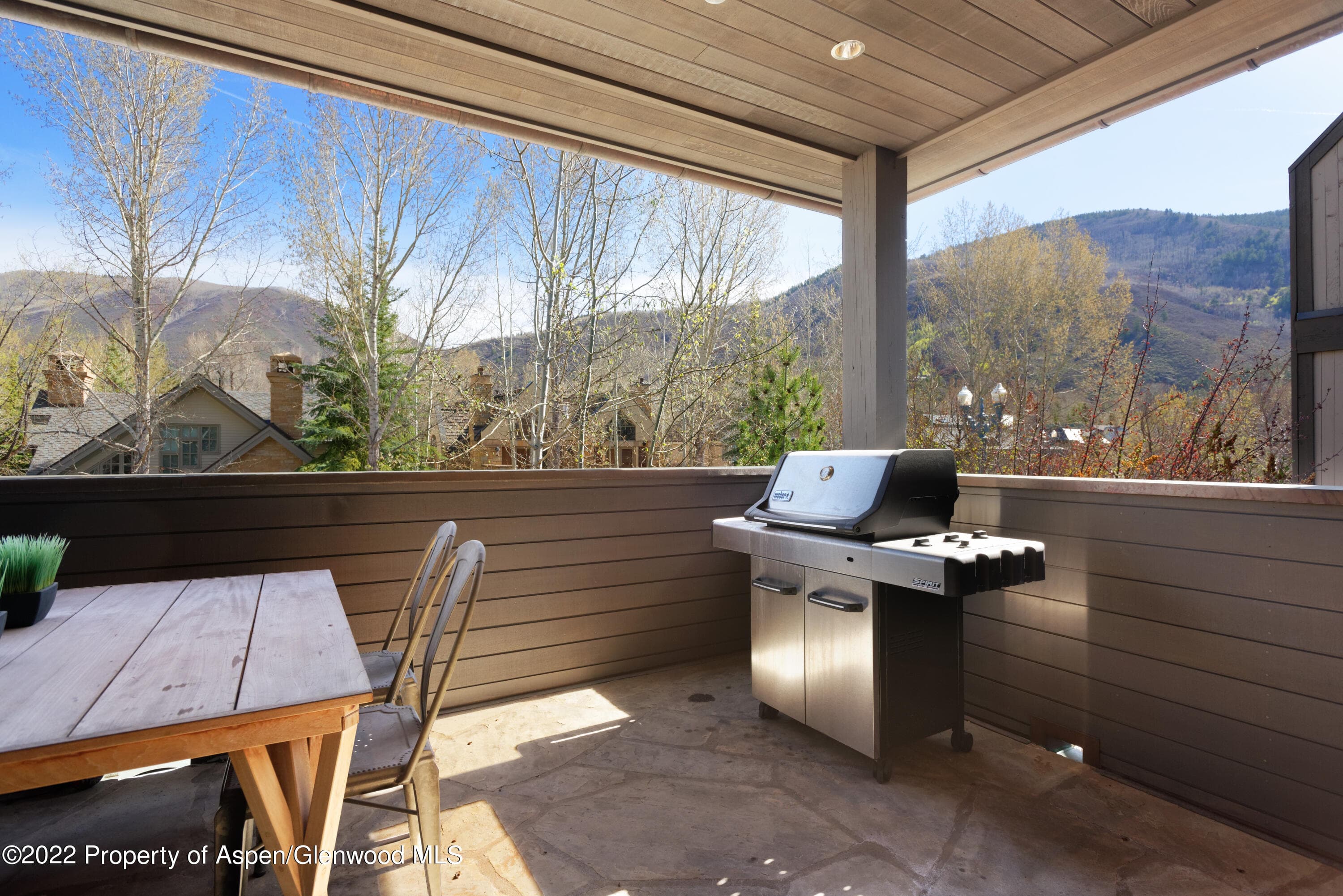 410 S West End Street 101, Aspen, CO 81611 - Photo 26