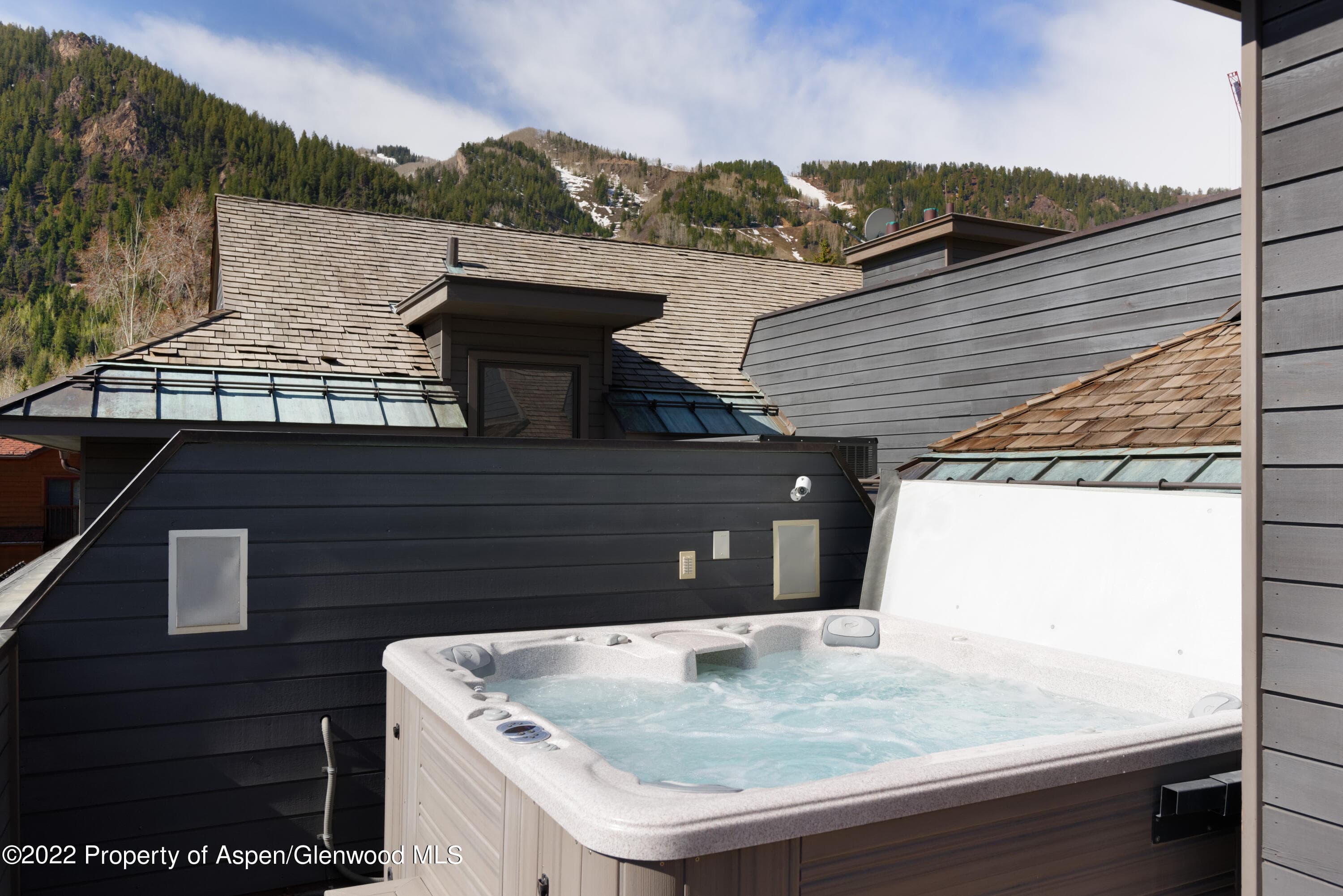410 S West End Street 101, Aspen, CO 81611 - Photo 27