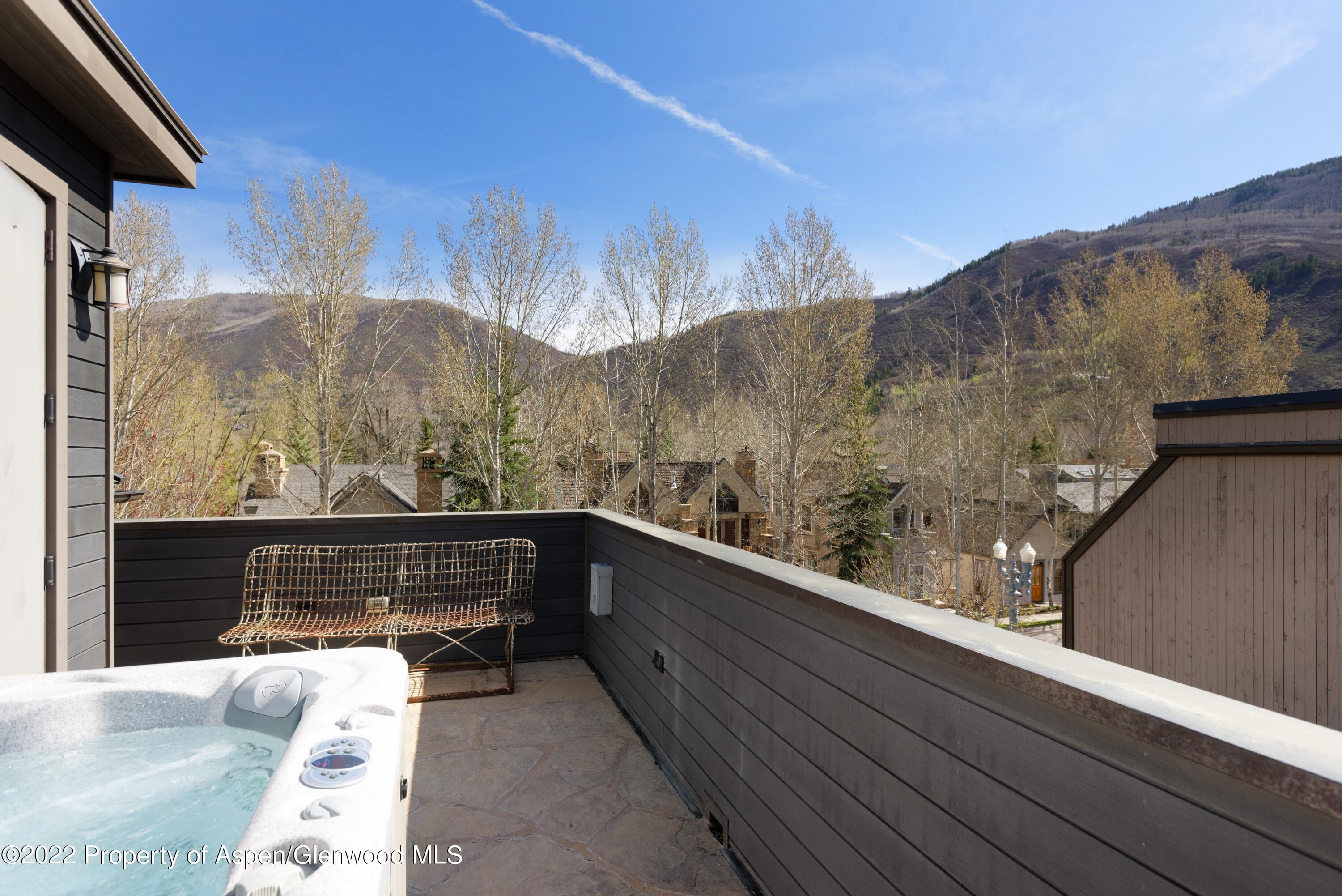 410 S West End Street 101, Aspen, CO 81611 - Photo 28