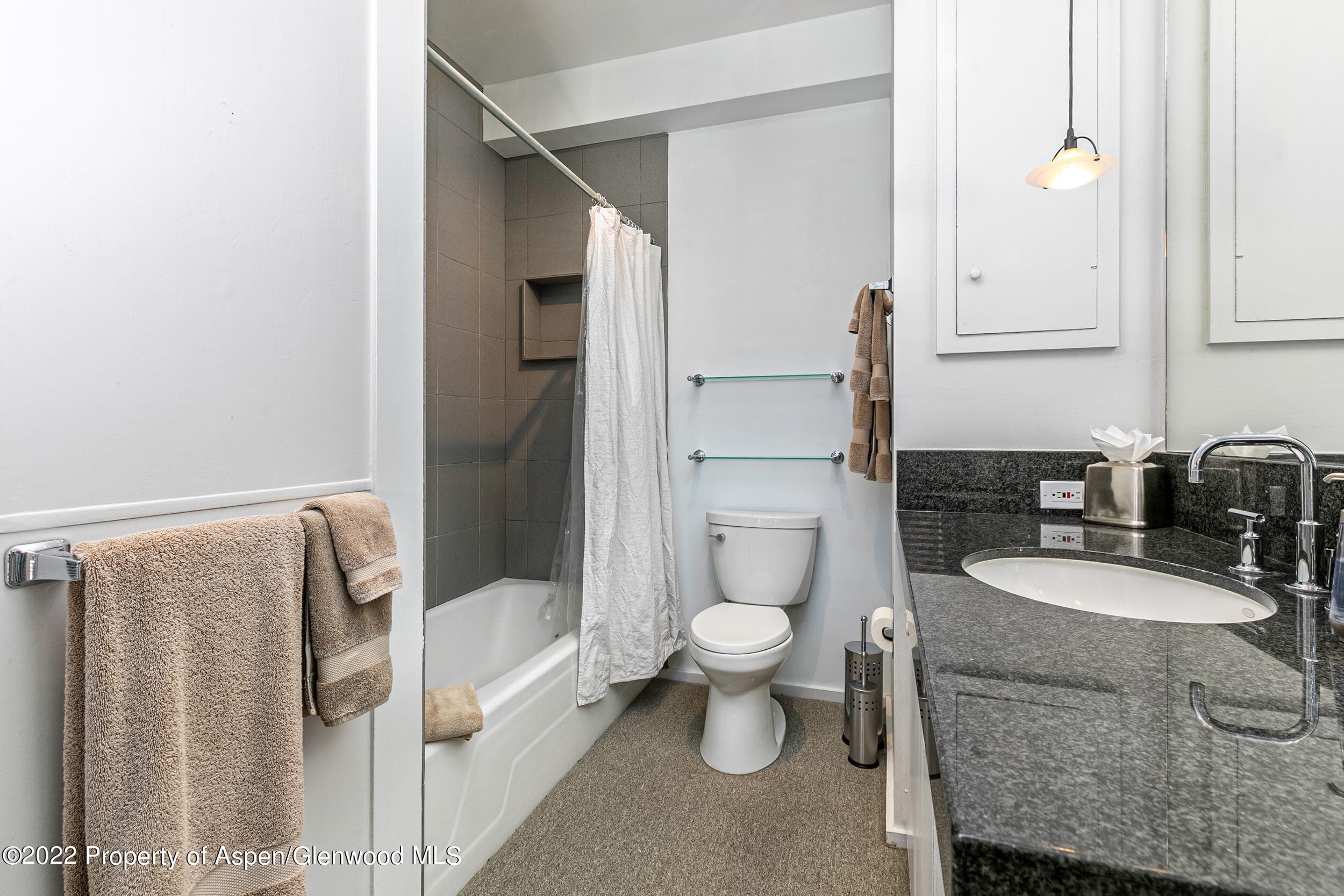 610 E Hyman Avenue Penthouse, Aspen, CO 81611 - Photo 10
