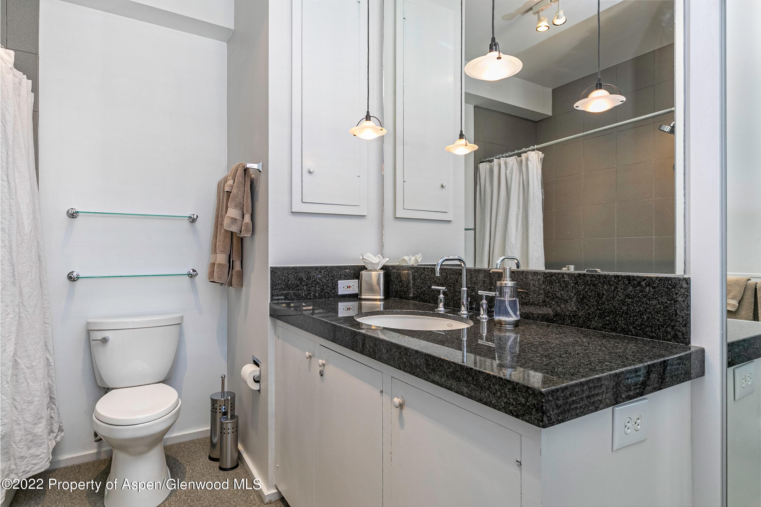 610 E Hyman Avenue Penthouse, Aspen, CO 81611 - Photo 11