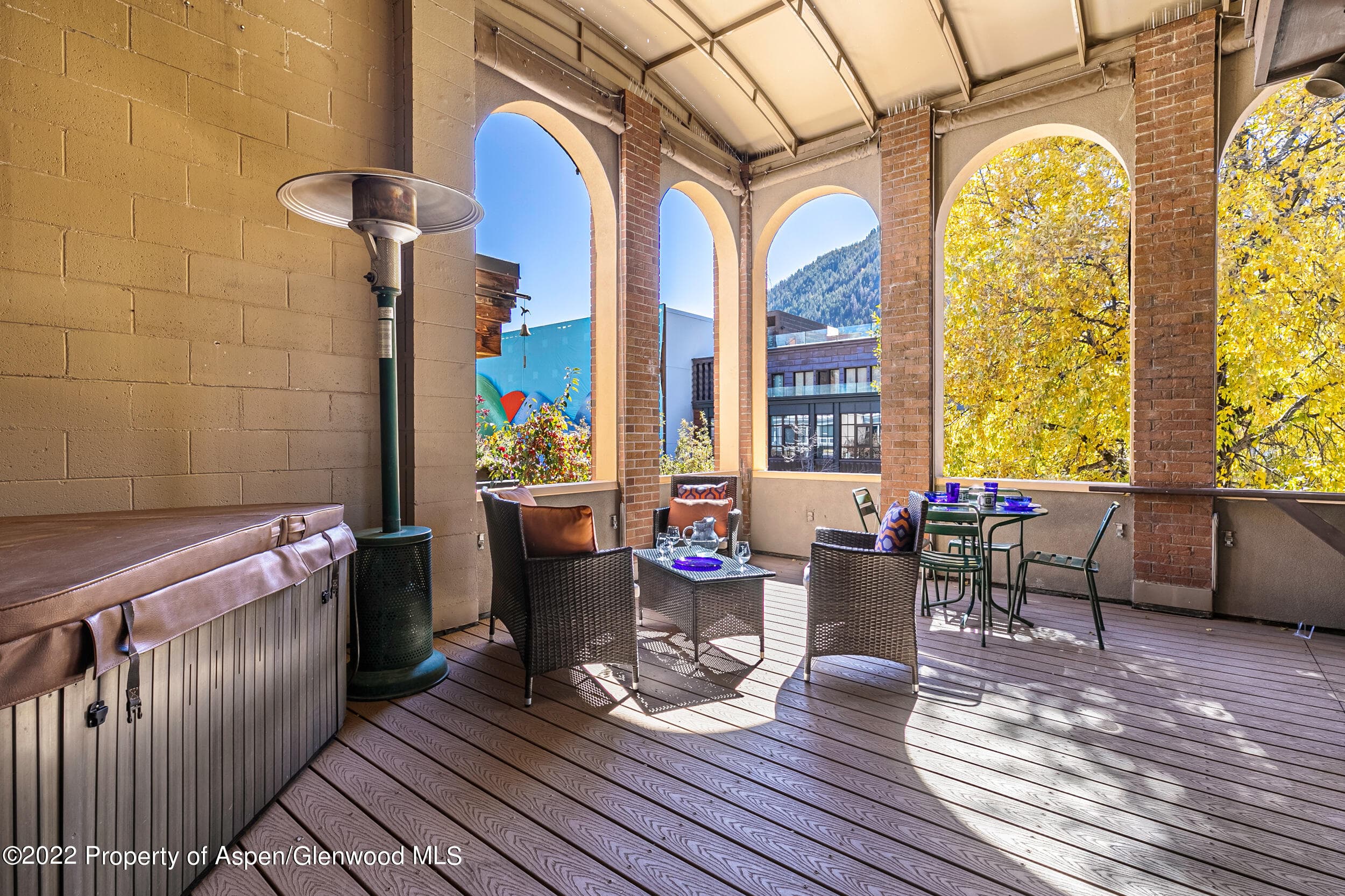 610 E Hyman Avenue Penthouse, Aspen, CO 81611 - Photo 8