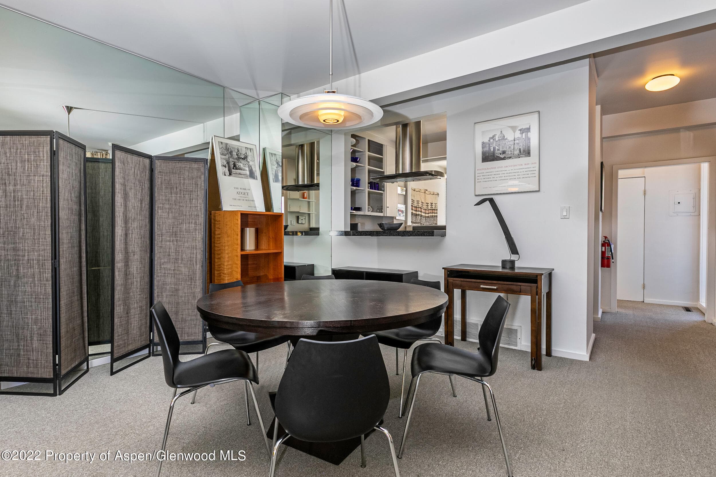 610 E Hyman Avenue Penthouse, Aspen, CO 81611 - Photo 3