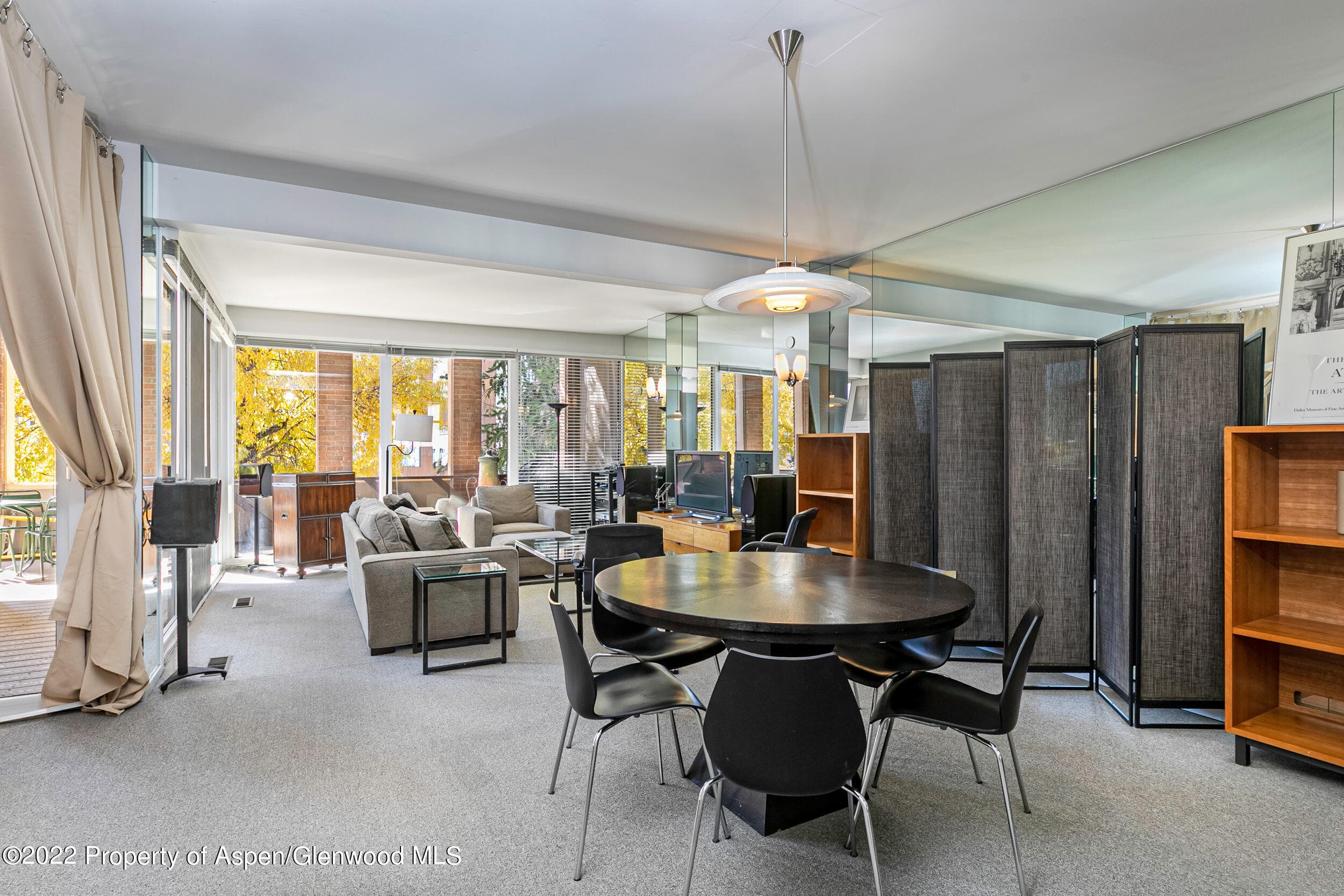 610 E Hyman Avenue Penthouse, Aspen, CO 81611 - Photo 2