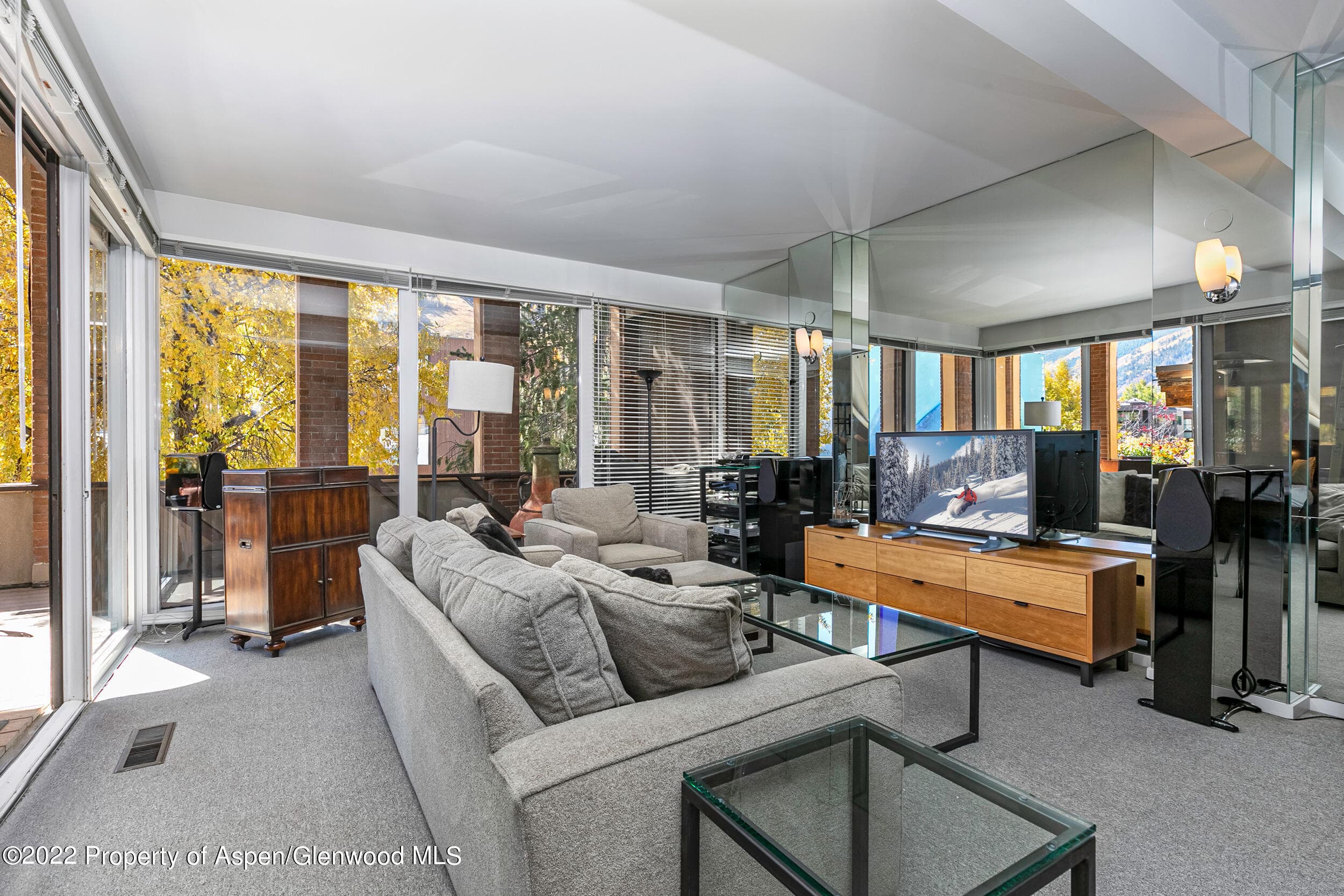 610 E Hyman Avenue Penthouse, Aspen, CO 81611 - Photo 4