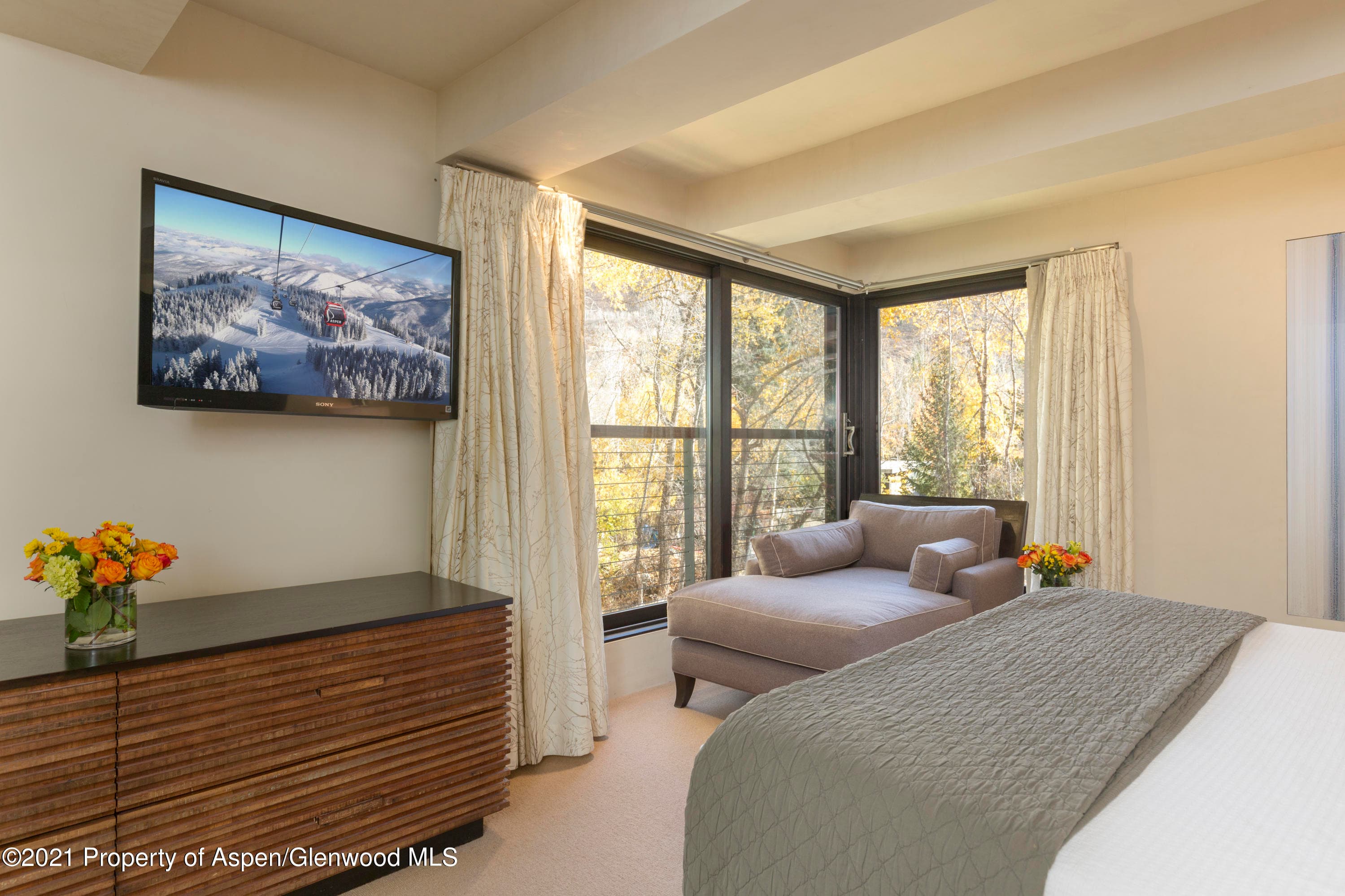 1034 E Cooper Avenue 26, Aspen, CO 81611 - Photo 16