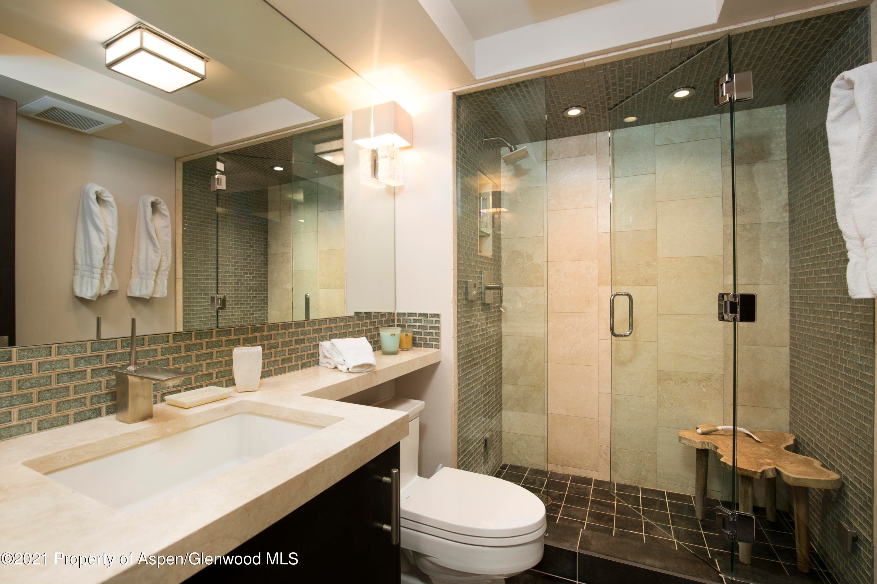 1034 E Cooper Avenue 26, Aspen, CO 81611 - Photo 18