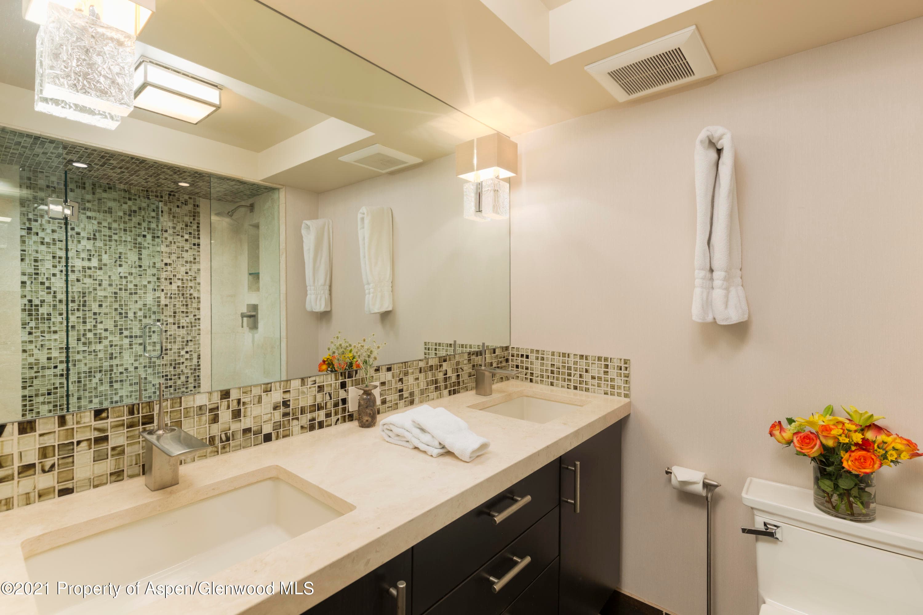 1034 E Cooper Avenue 26, Aspen, CO 81611 - Photo 21