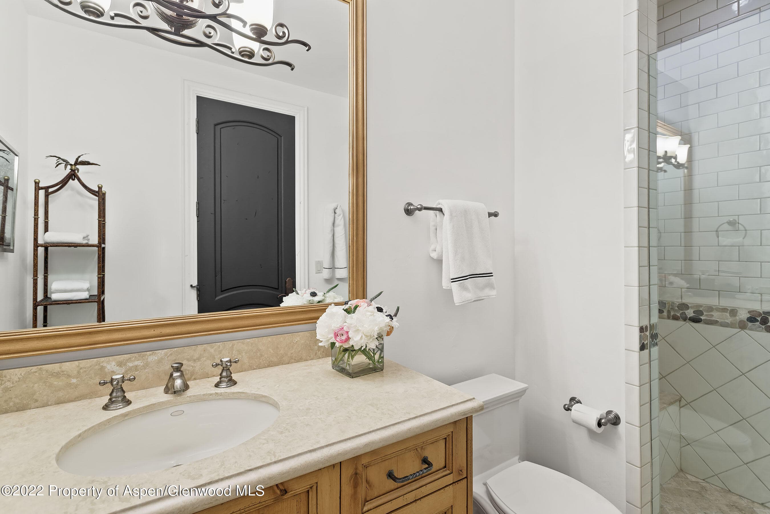 857 Bonita Drive, Aspen, CO 81611 - Photo 23