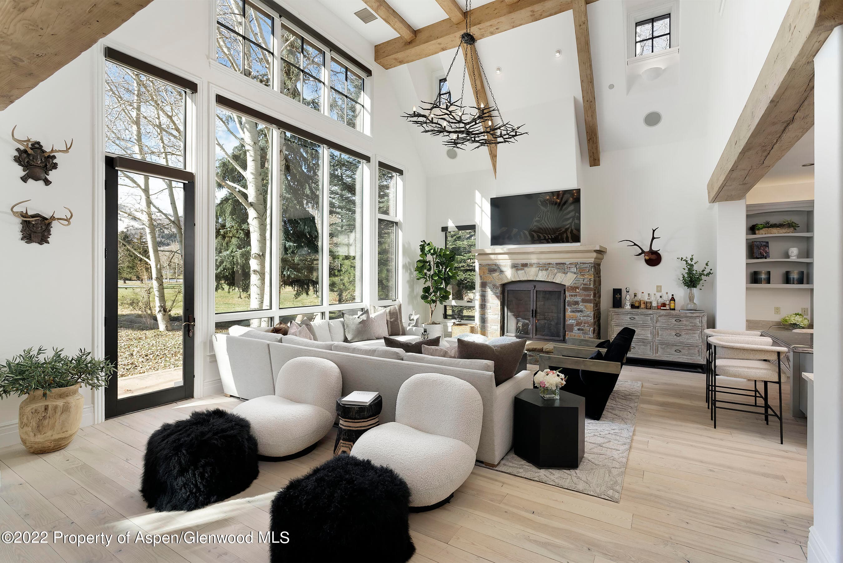 857 Bonita Drive, Aspen, CO 81611 - Photo 3