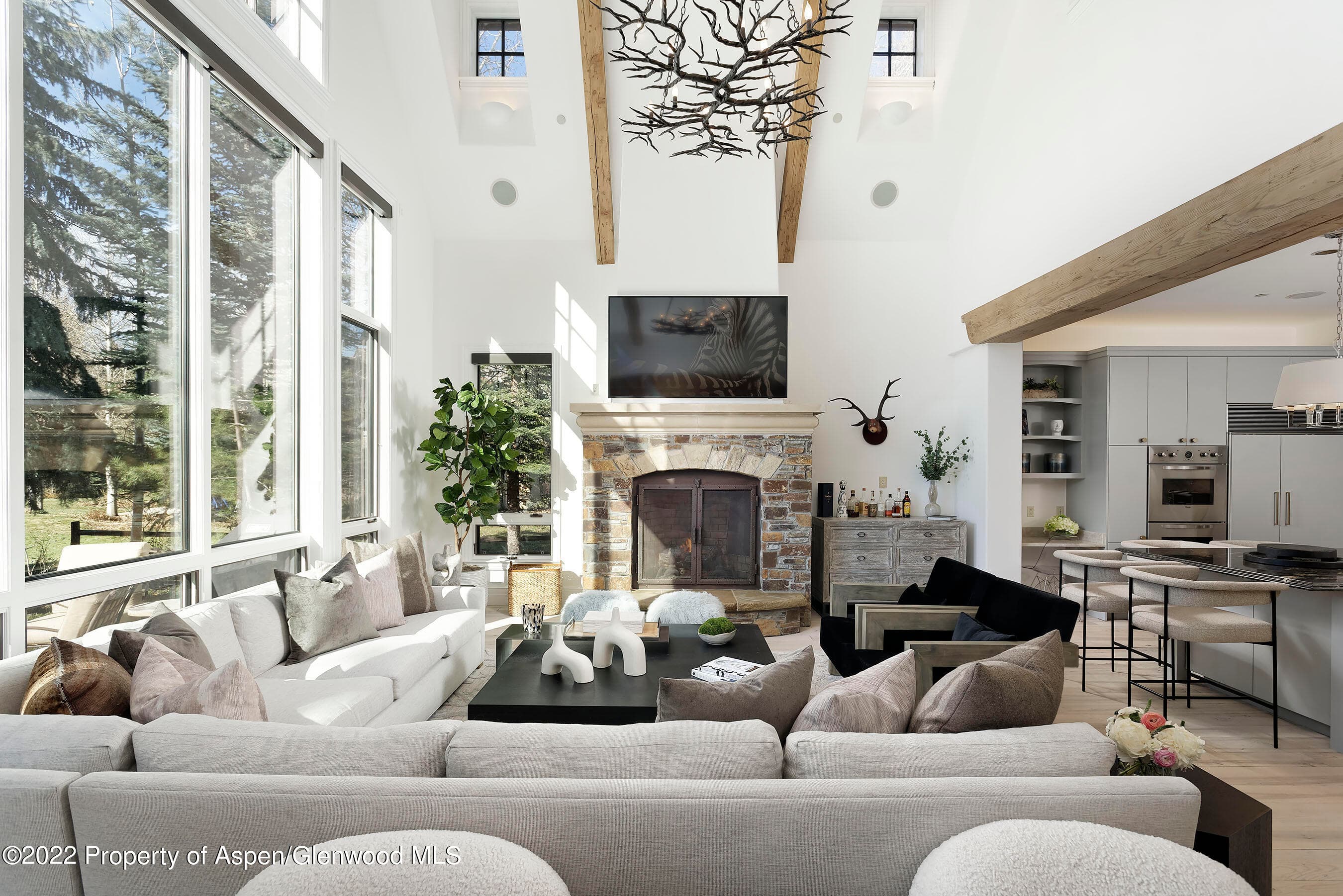 857 Bonita Drive, Aspen, CO 81611 - Photo 2