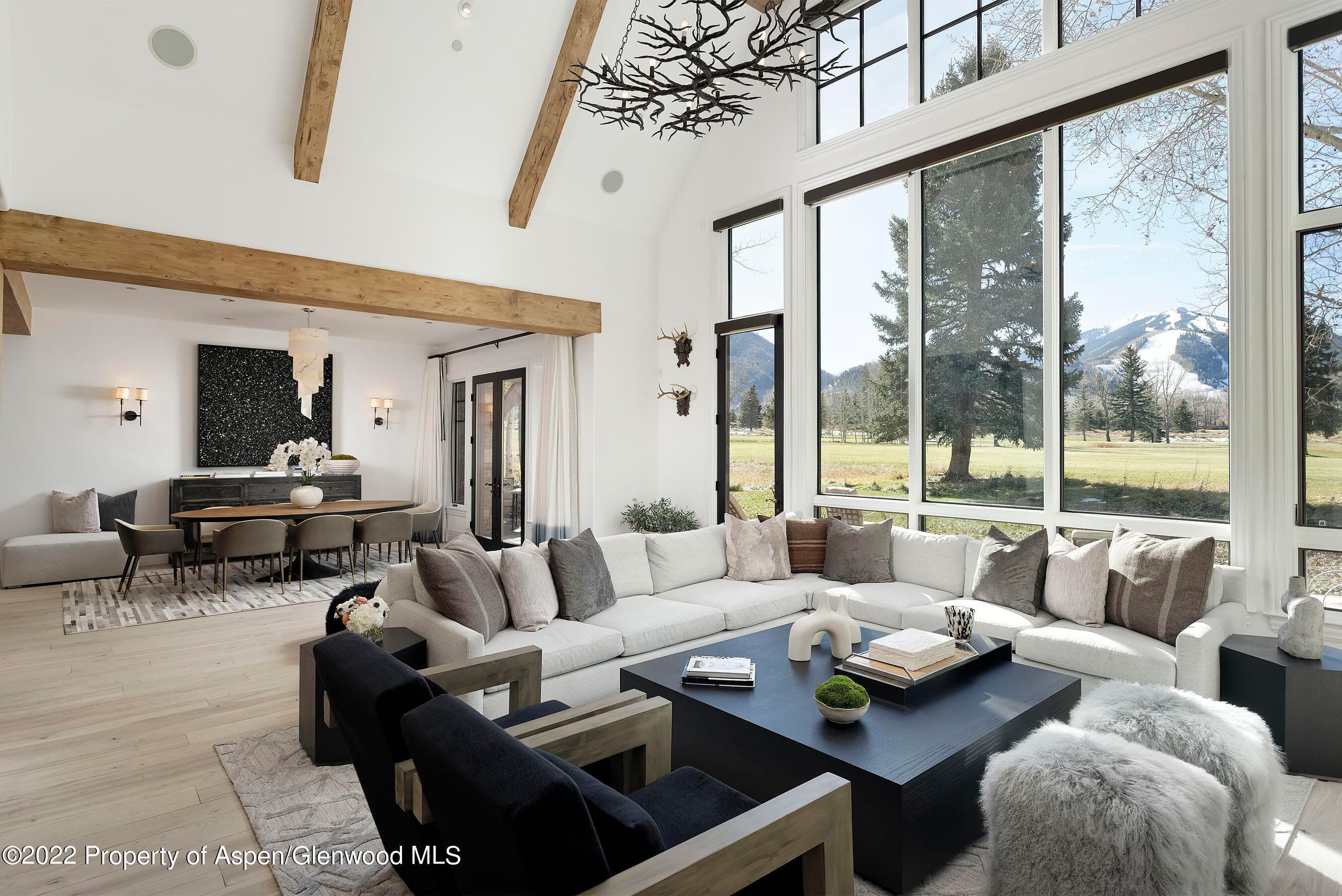 857 Bonita Drive, Aspen, CO 81611
