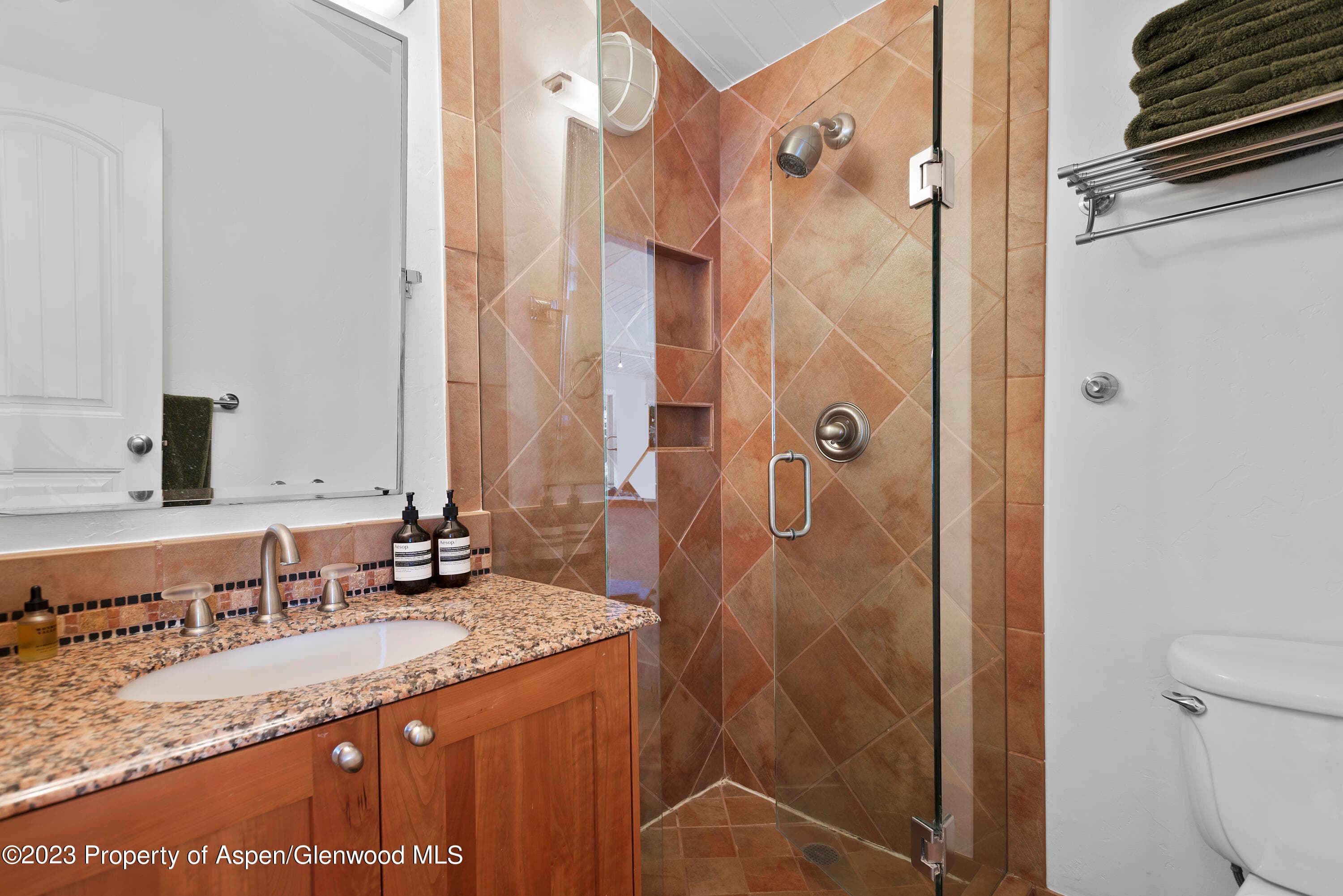 809 S Aspen Street 17, Aspen, CO 81611 - Photo 22