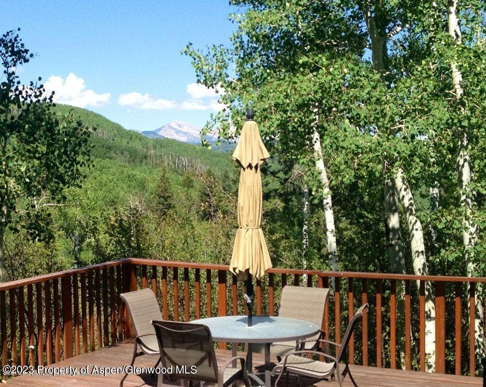 1901 W Buttermilk Road, Aspen, CO 81611 - Photo 29