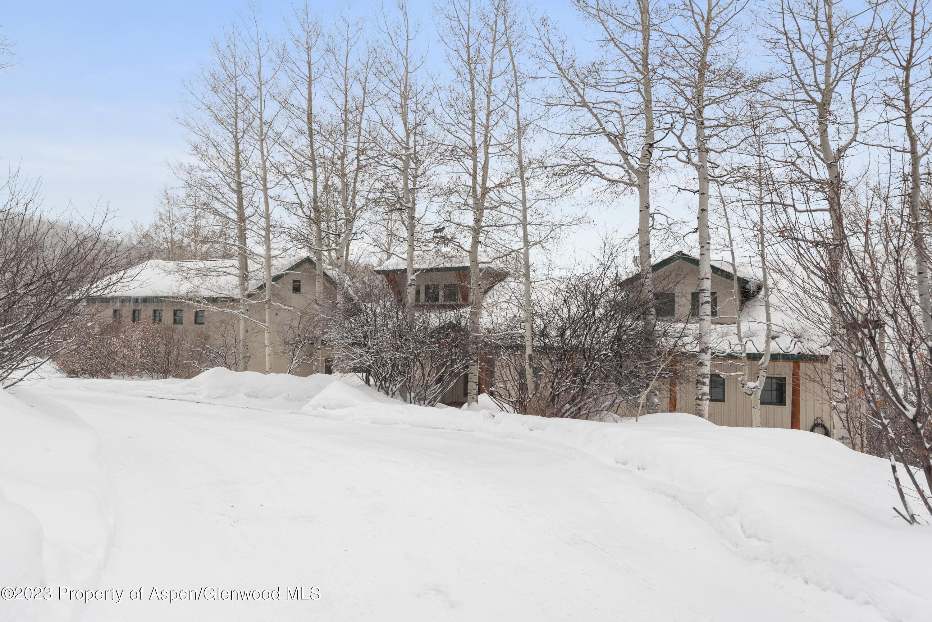 1901 W Buttermilk Road, Aspen, CO 81611 - Photo 32