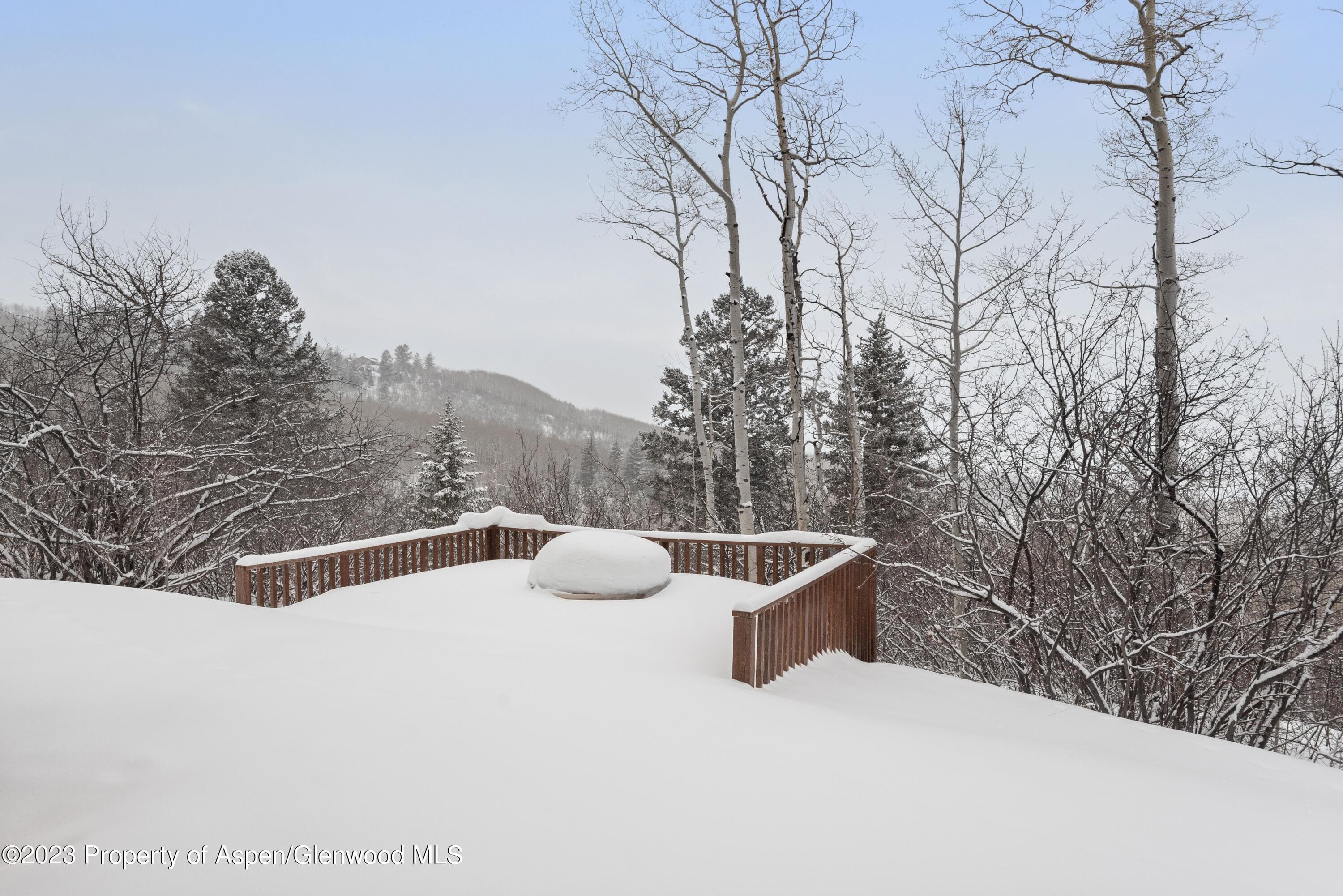 1901 W Buttermilk Road, Aspen, CO 81611 - Photo 34
