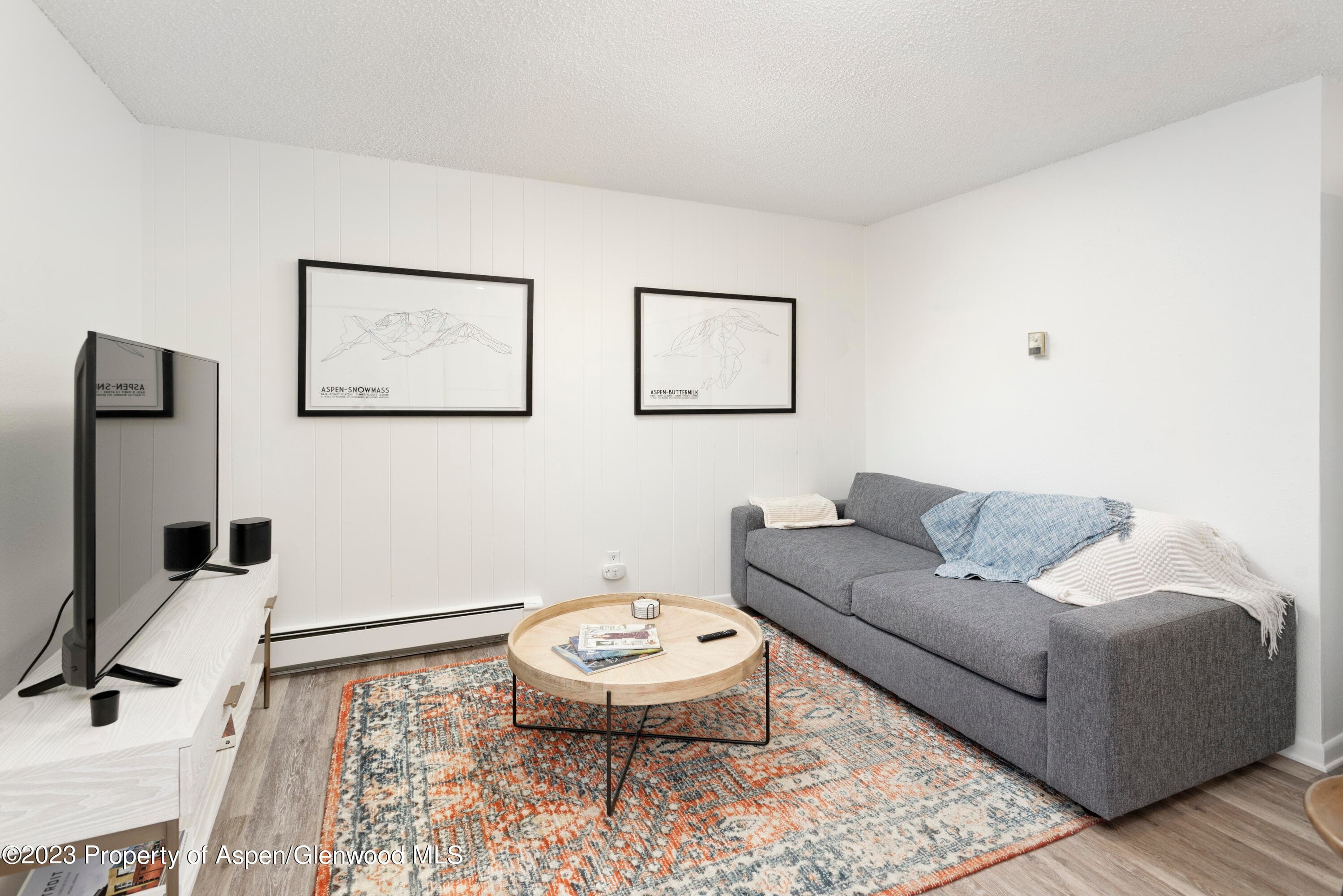 424 Park Circle Unit B, Aspen, CO 81611