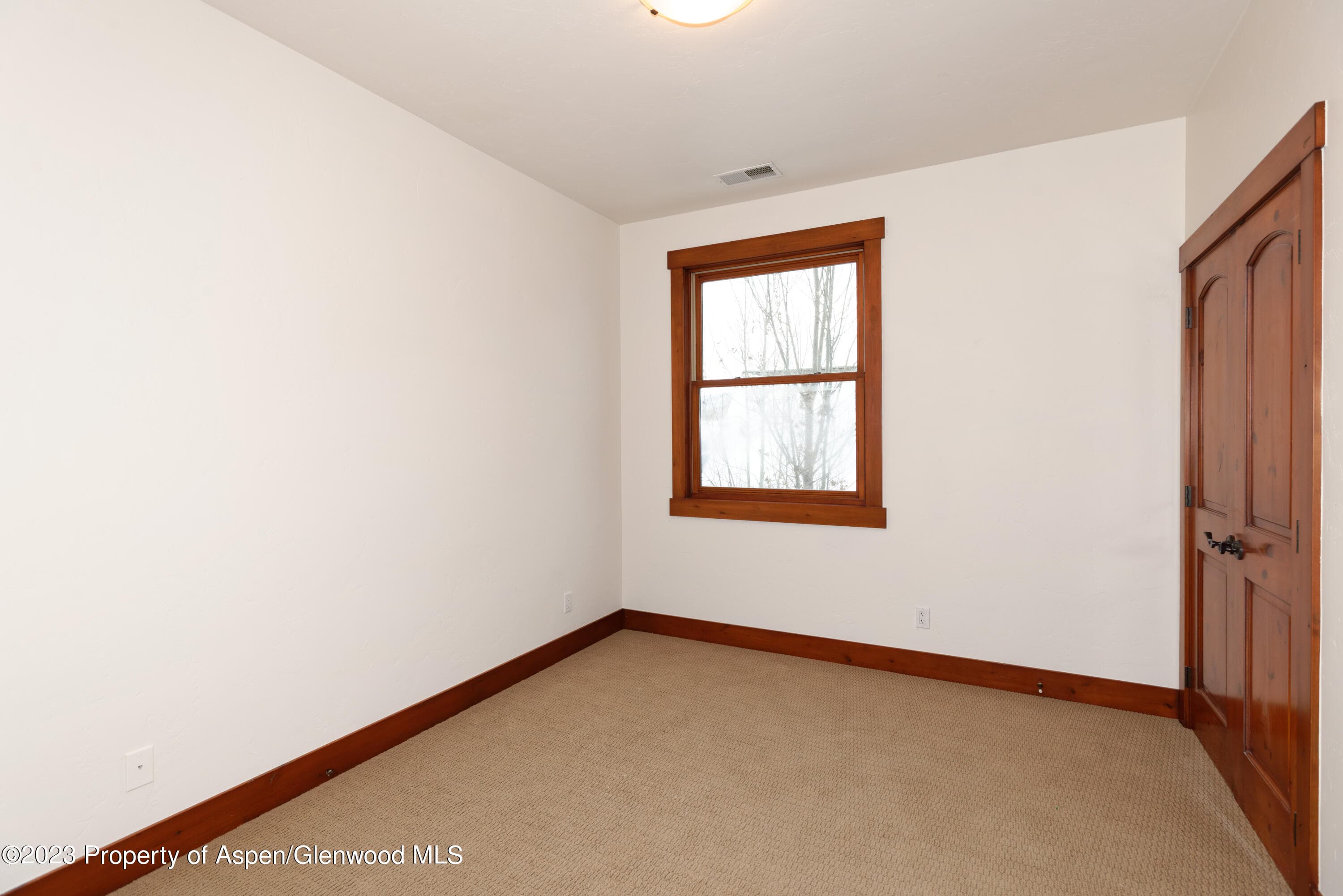 210 Juniper Court, Basalt, CO 81621 - Photo 15