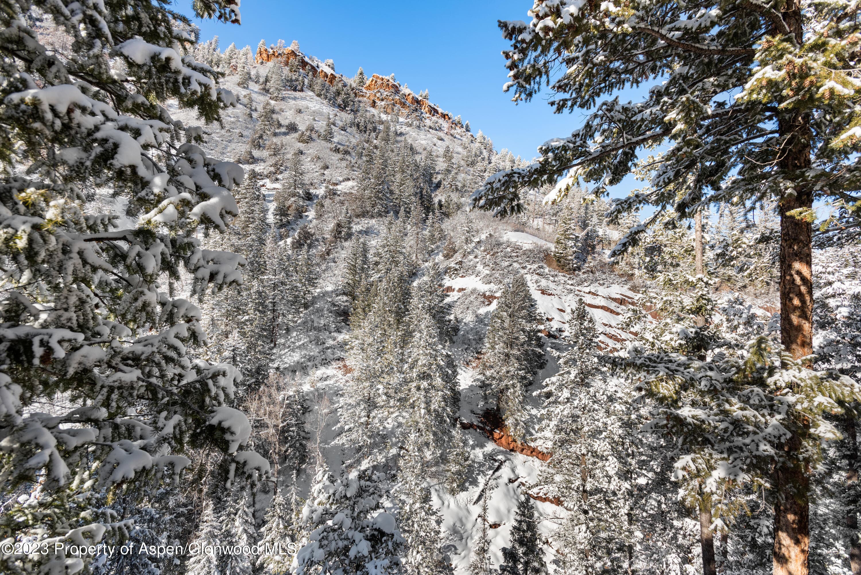 1501 Maroon Creek Road #5, Aspen, CO 81611 - Photo 20