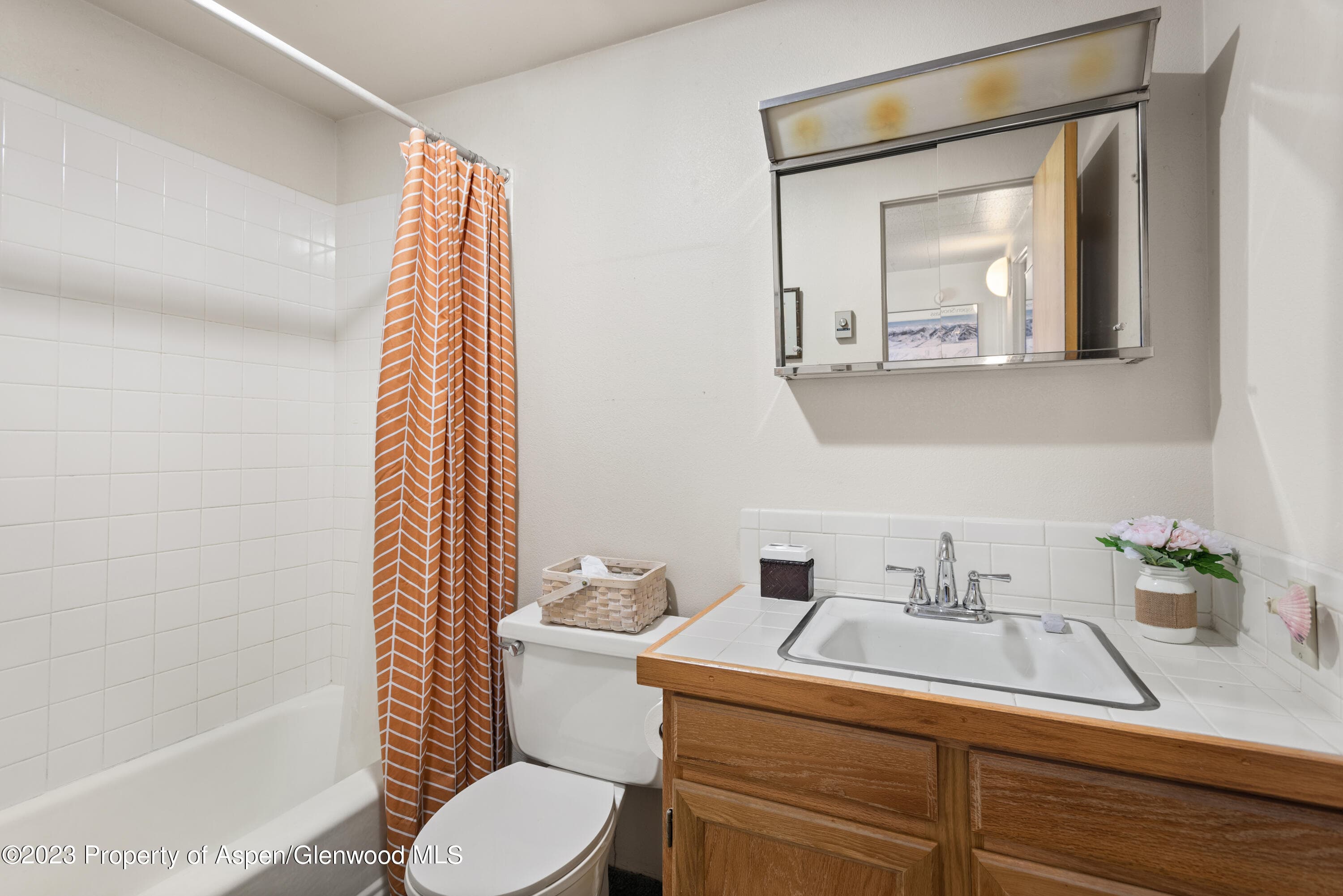 1501 Maroon Creek Road #5, Aspen, CO 81611 - Photo 19
