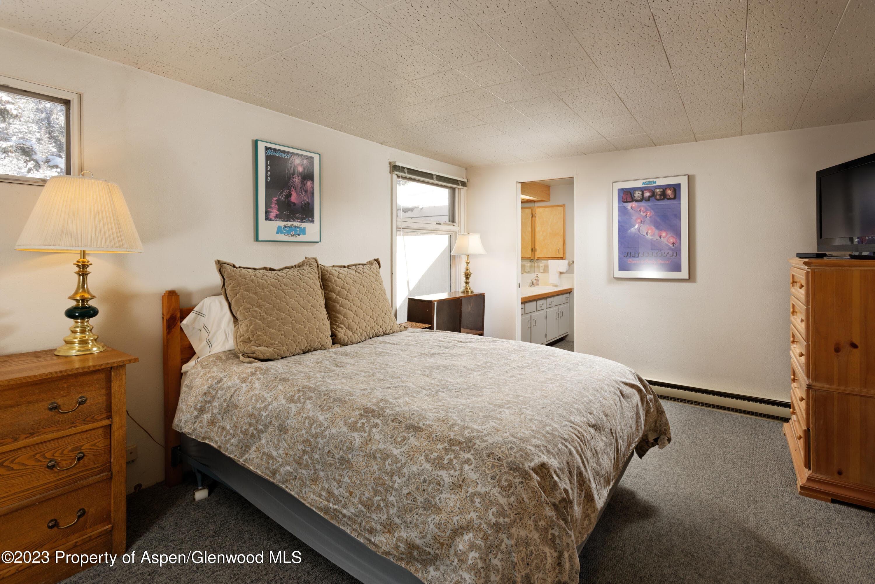 1501 Maroon Creek Road #5, Aspen, CO 81611 - Photo 14