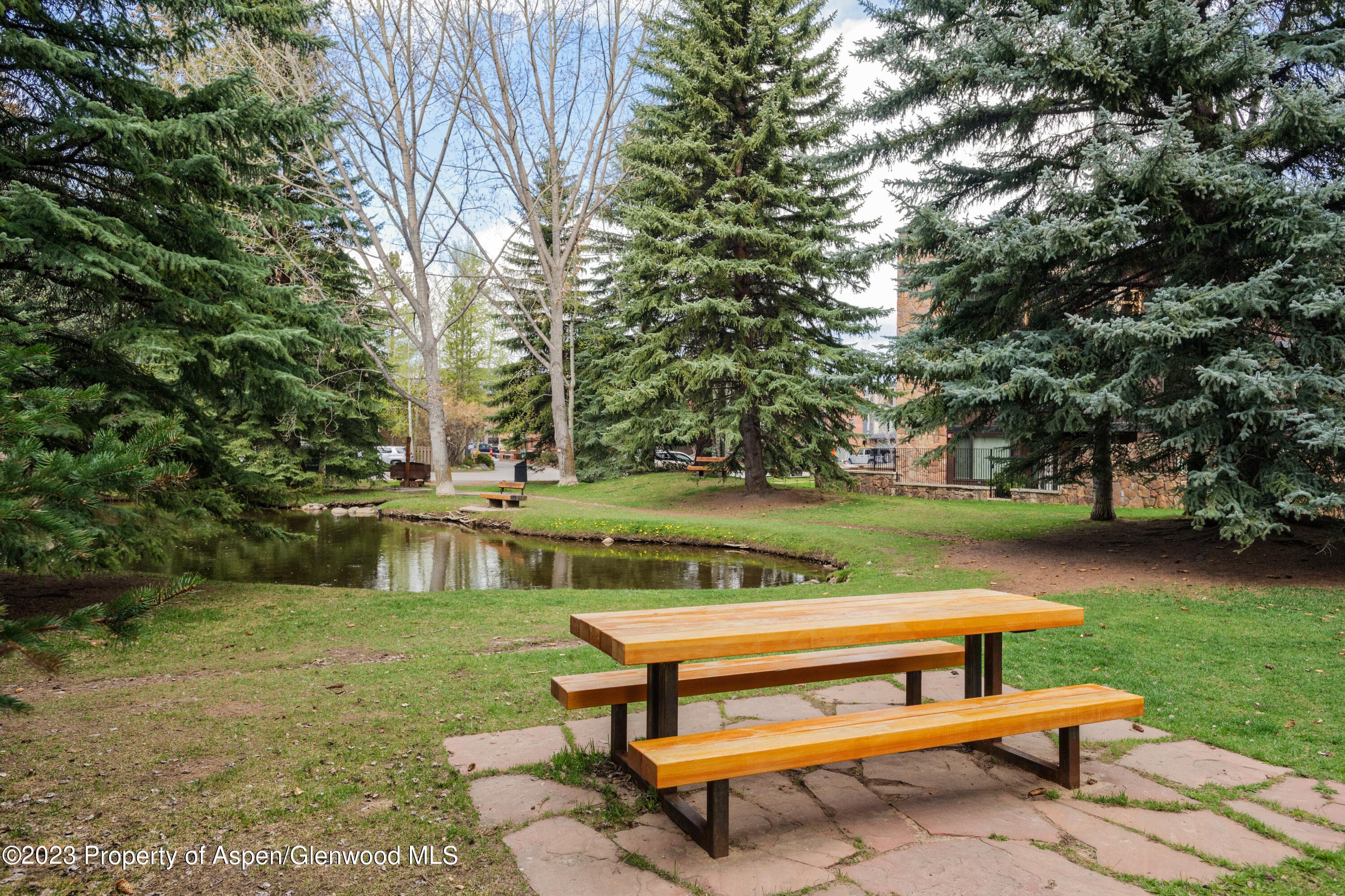 601 S West End Street 1, Aspen, CO 81611 - Photo 5