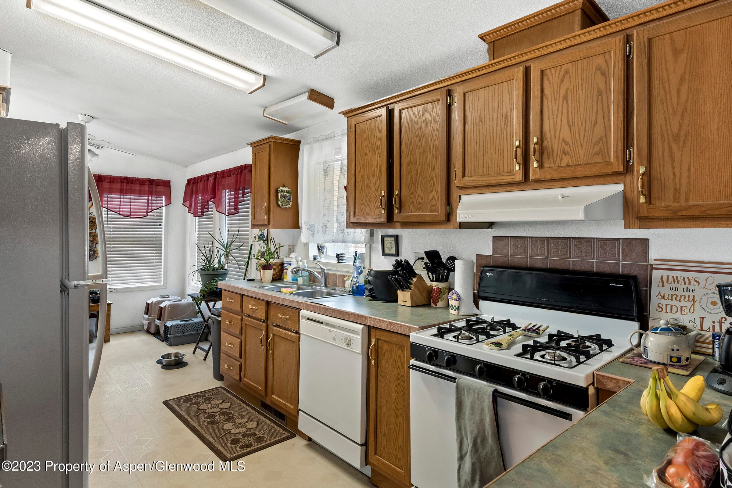 256 Field Street, Craig, CO 81625 - Photo 10
