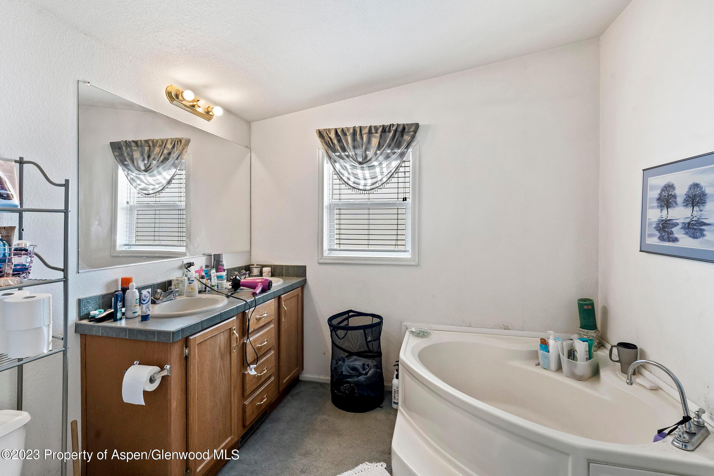 256 Field Street, Craig, CO 81625 - Photo 17