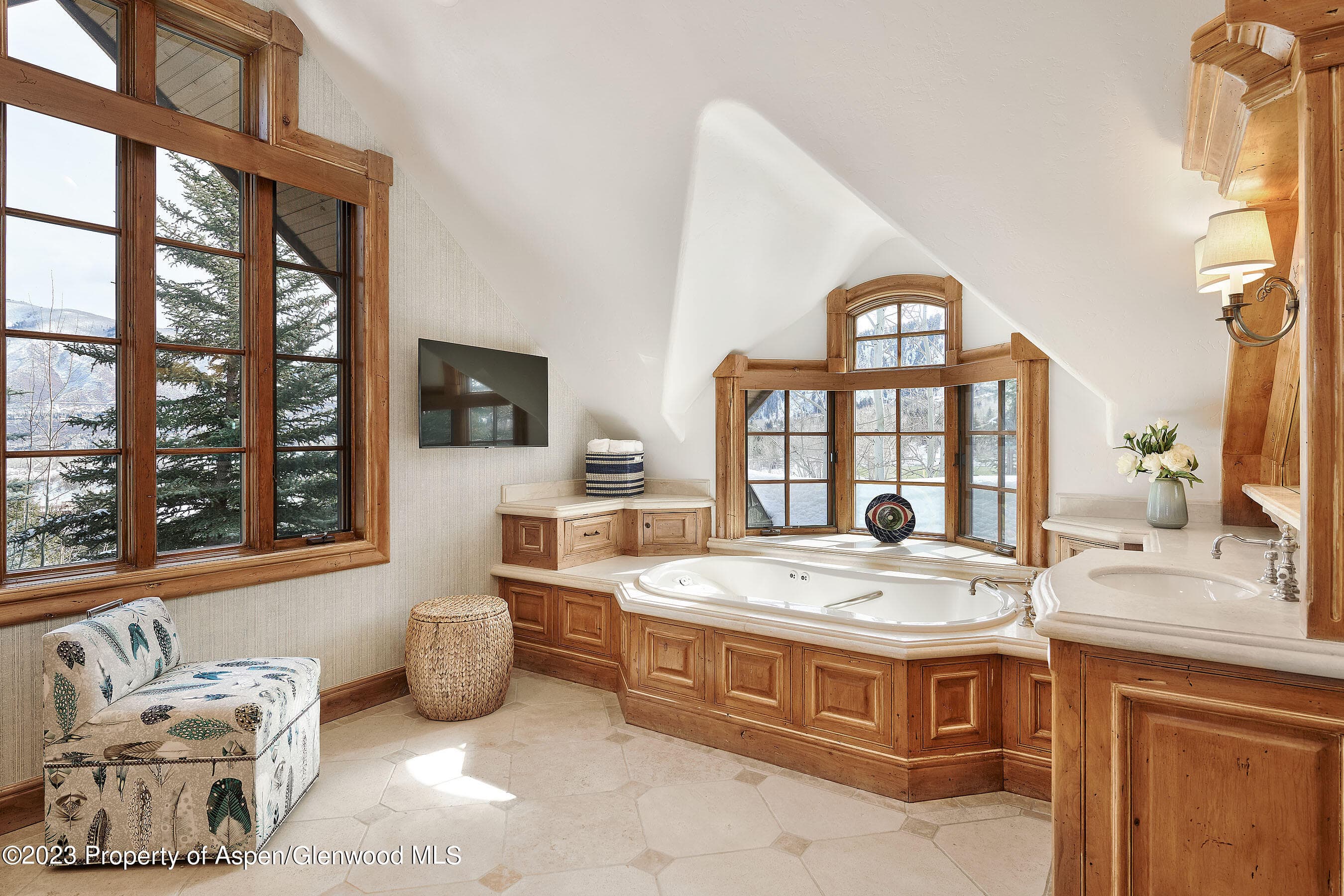 1230 S Tiehack Road, Aspen, CO 81611 - Photo 21