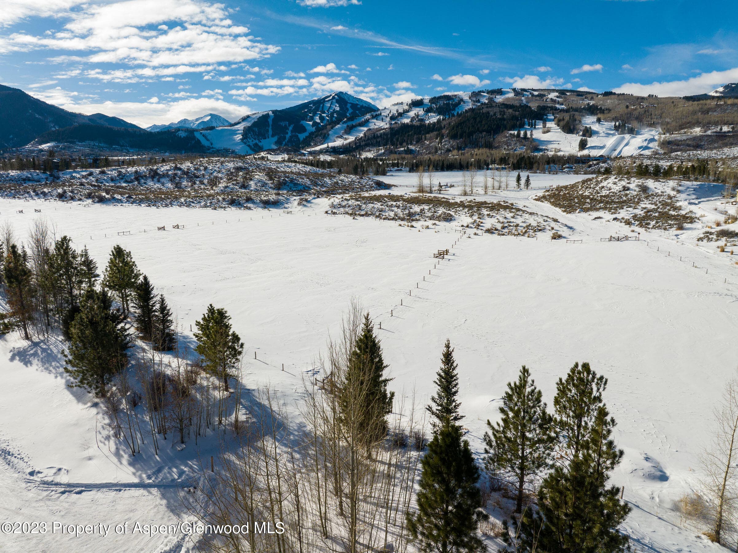 360 Coach Road, Aspen, CO 81611 - Photo 22