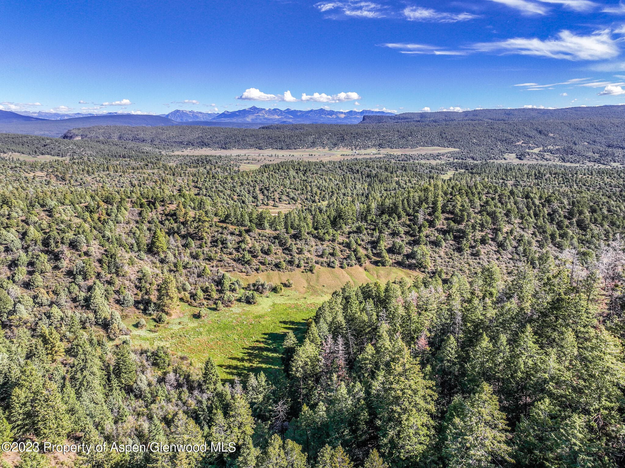 TBD 700 County Road Cat Creek Road, Pagosa Springs, CO 81147 - Photo 7
