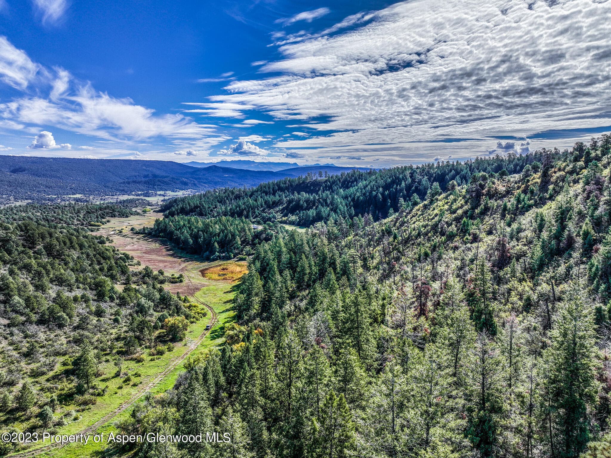 TBD 700 County Road Cat Creek Road, Pagosa Springs, CO 81147 - Photo 8