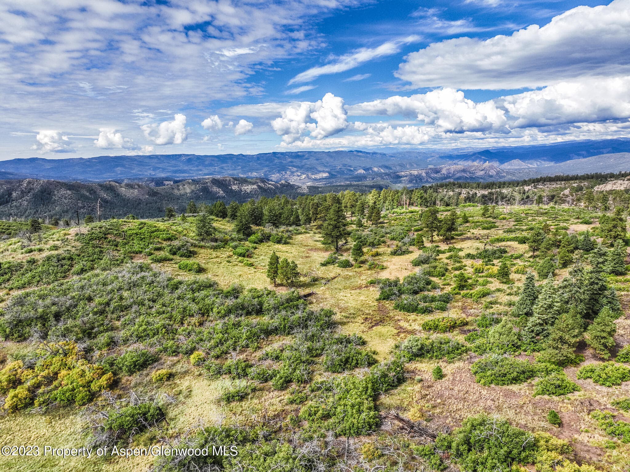 TBD 700 County Road Cat Creek Road, Pagosa Springs, CO 81147 - Photo 21