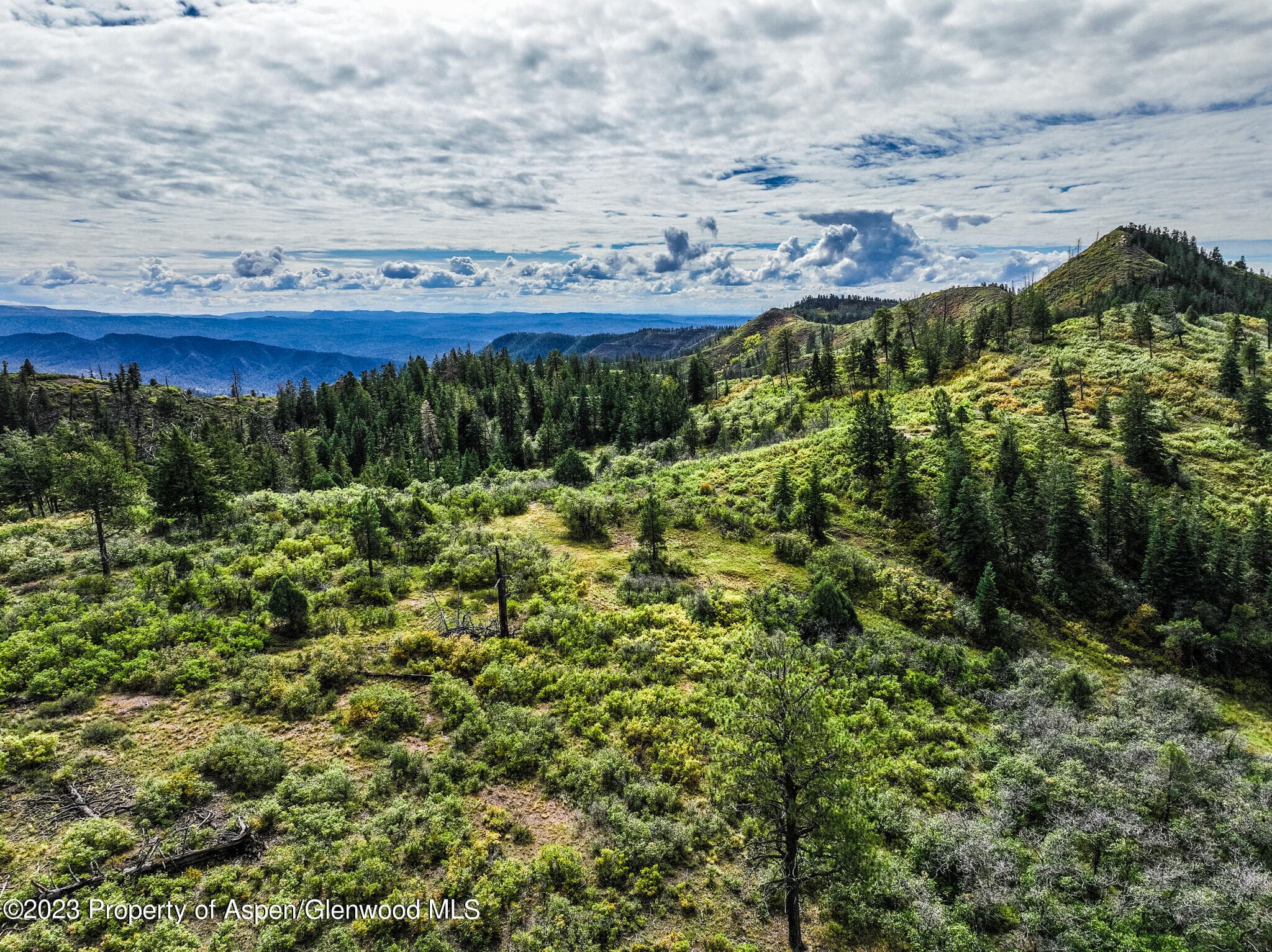 TBD 700 County Road Cat Creek Road, Pagosa Springs, CO 81147 - Photo 24