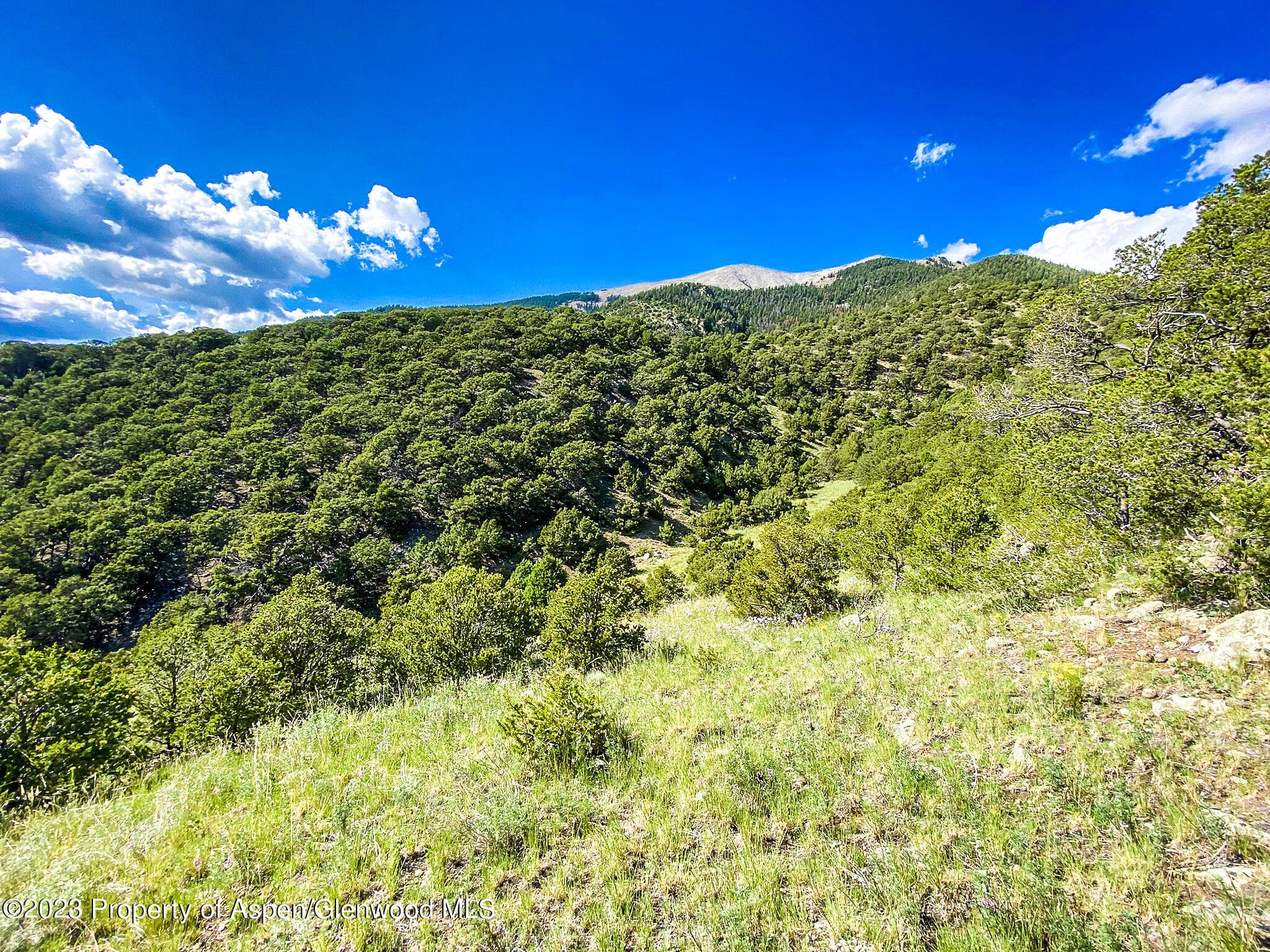 TBD 12th Street Tract 1, Blanca, CO 81123 - Photo 7