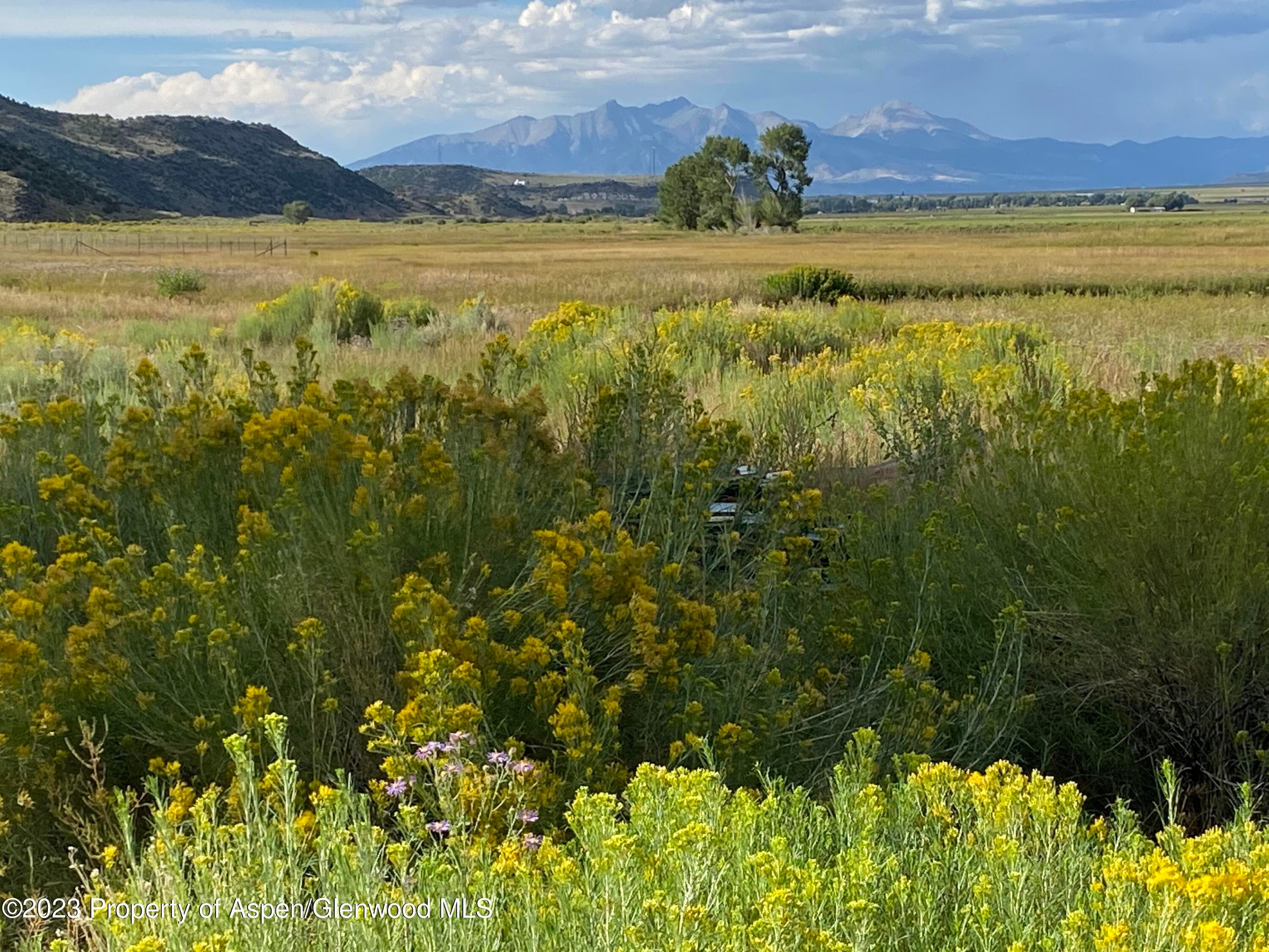 110340 CR 19, San Luis, CO 81522 - Photo 2