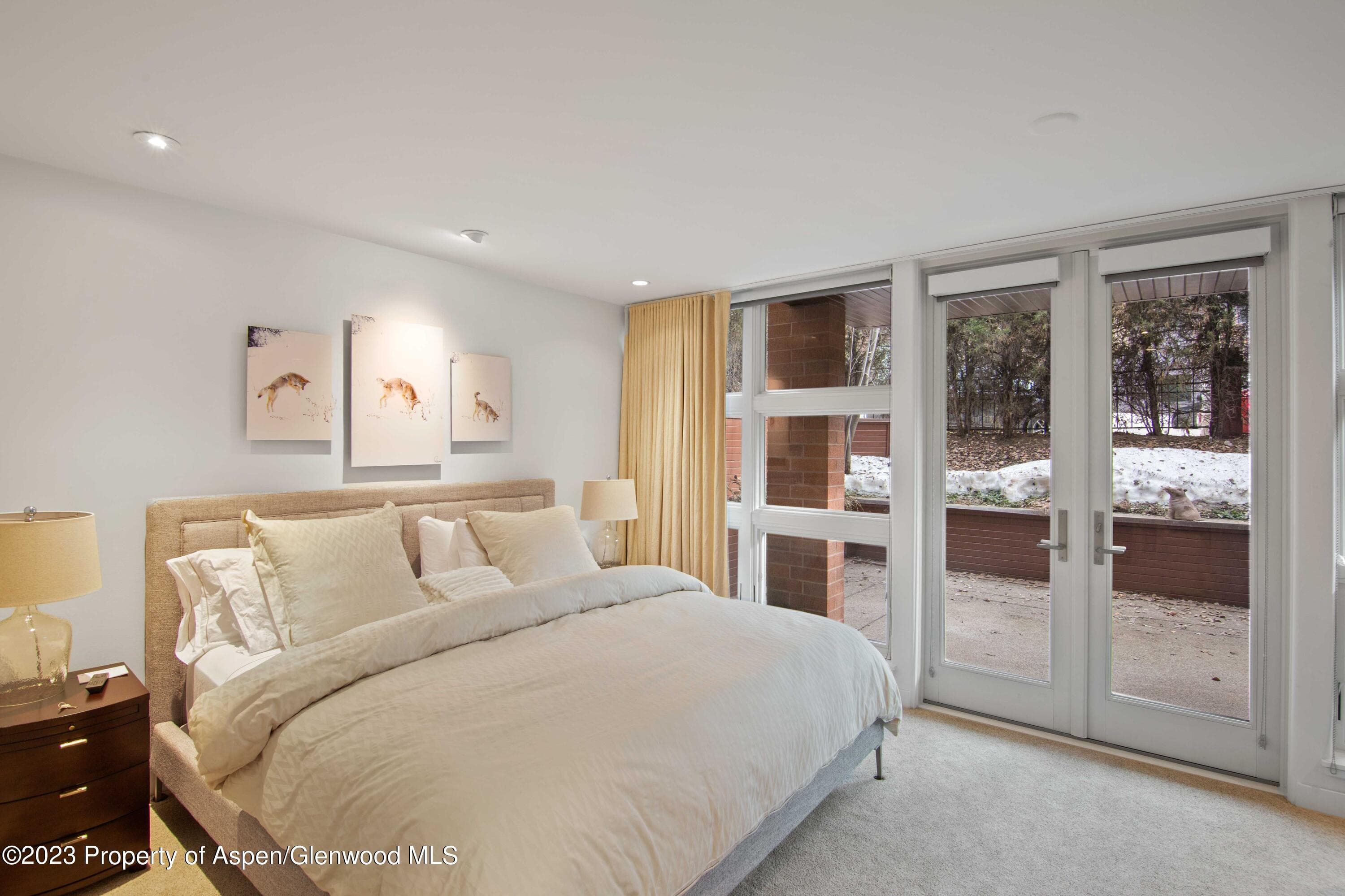 702 E Hyman Avenue, Aspen, CO 81611 - Photo 11