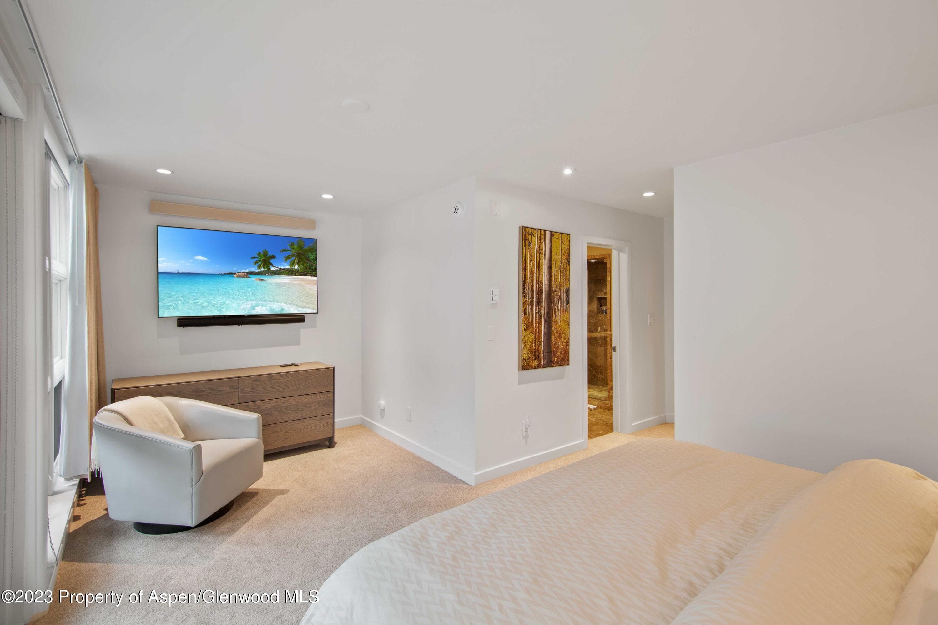 702 E Hyman Avenue, Aspen, CO 81611 - Photo 12