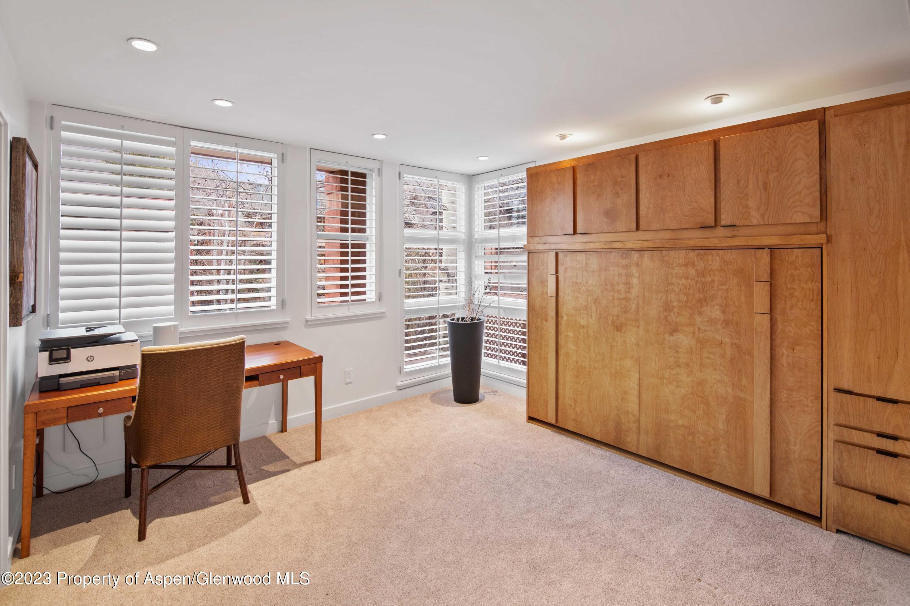 702 E Hyman Avenue, Aspen, CO 81611 - Photo 24