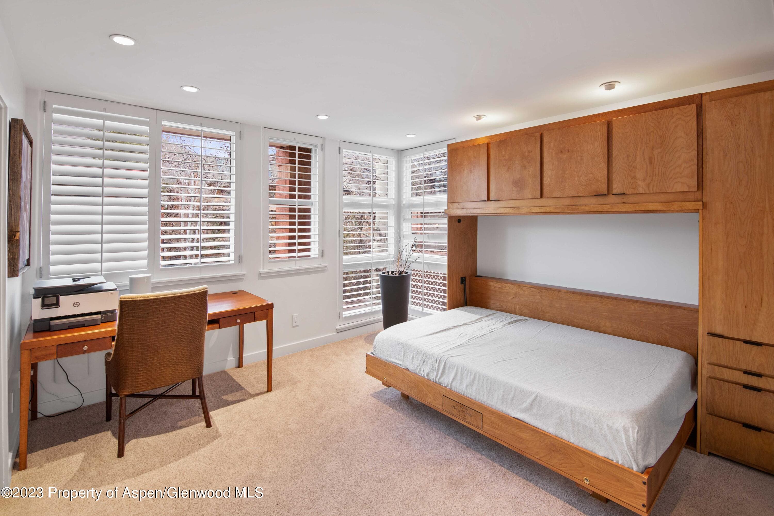 702 E Hyman Avenue, Aspen, CO 81611 - Photo 25
